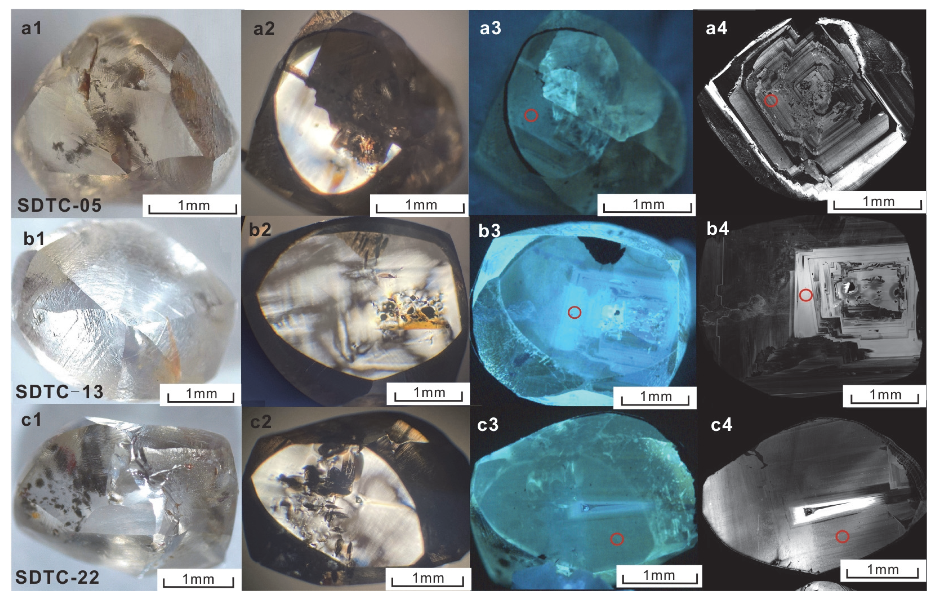 Minerals 15 00588 g002a Minerals 15 00588 g002a
