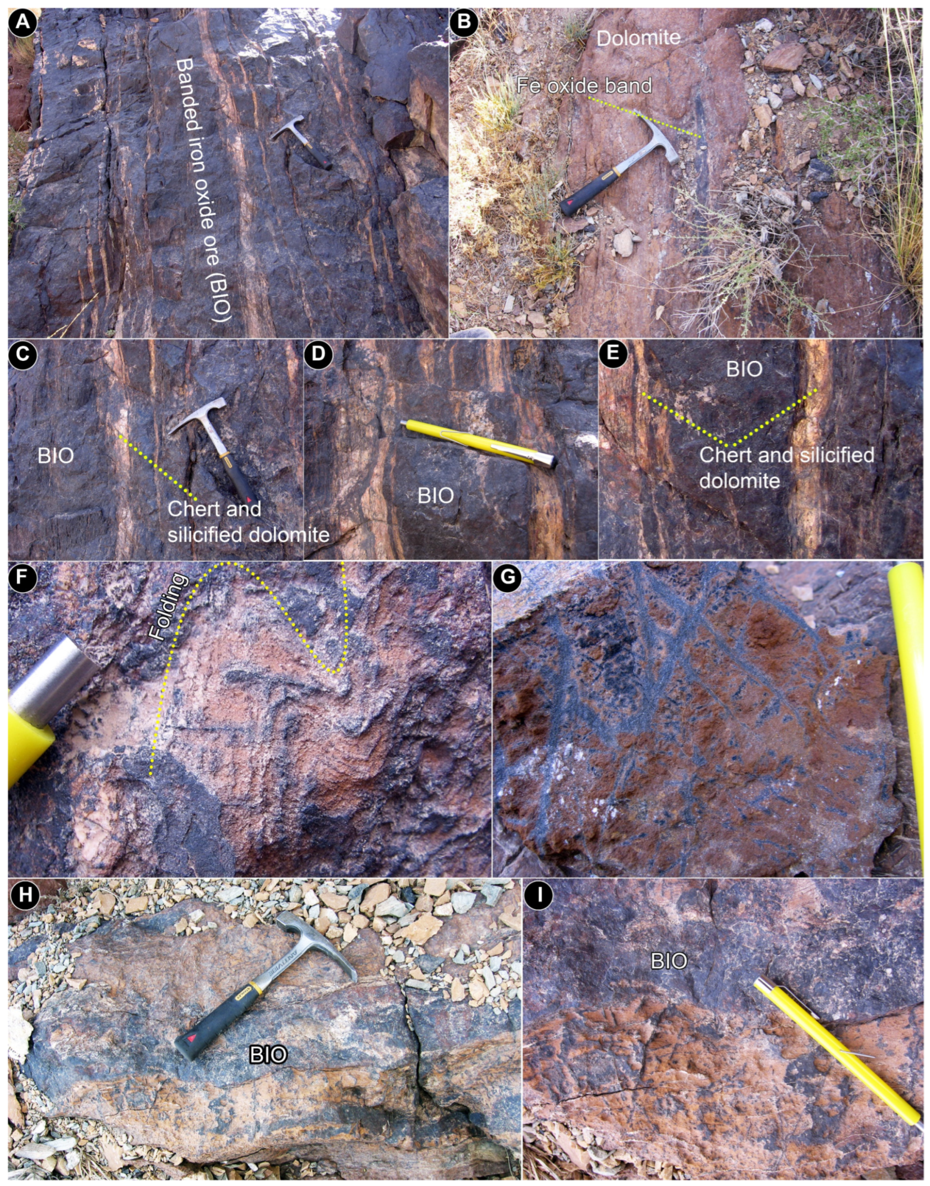 Geology, Structure, Geochemistry, and Origin of Iron Oxide Deposits in ...