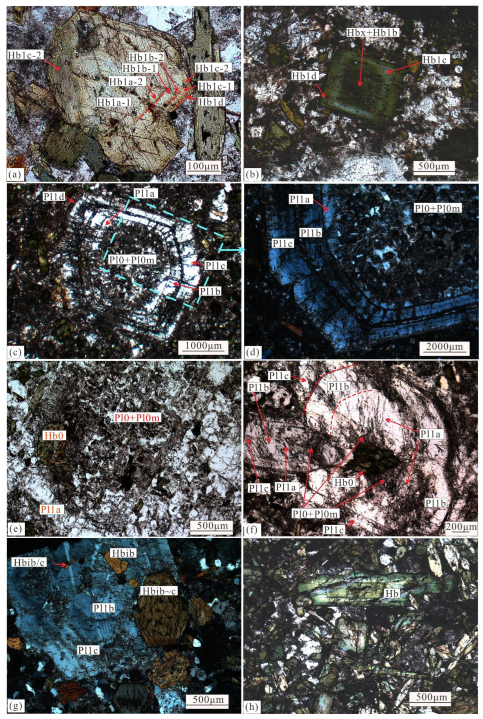 Minerals 15 00604 g003