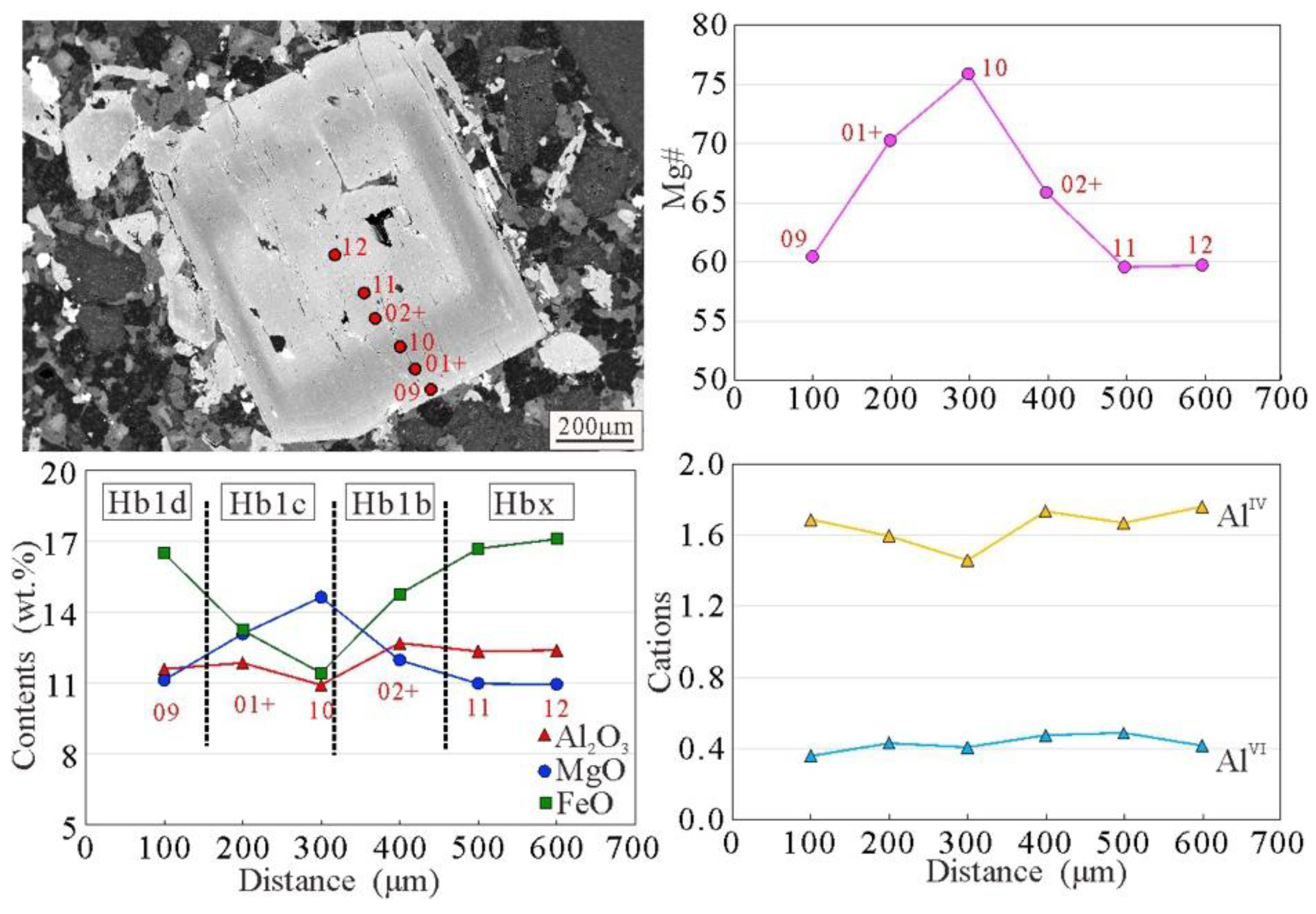 Minerals 15 00604 g009