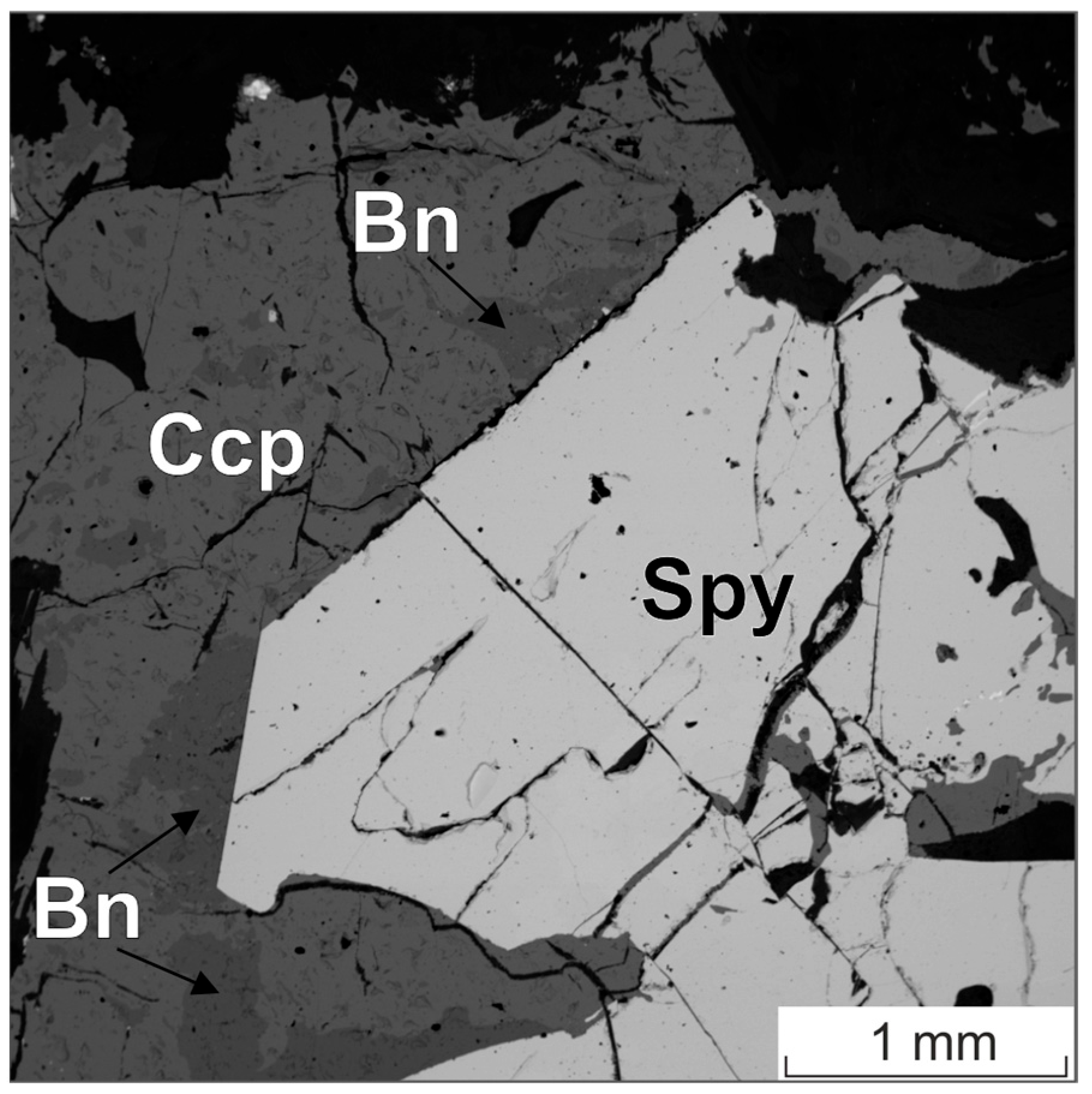 Minerals 15 00612 g008