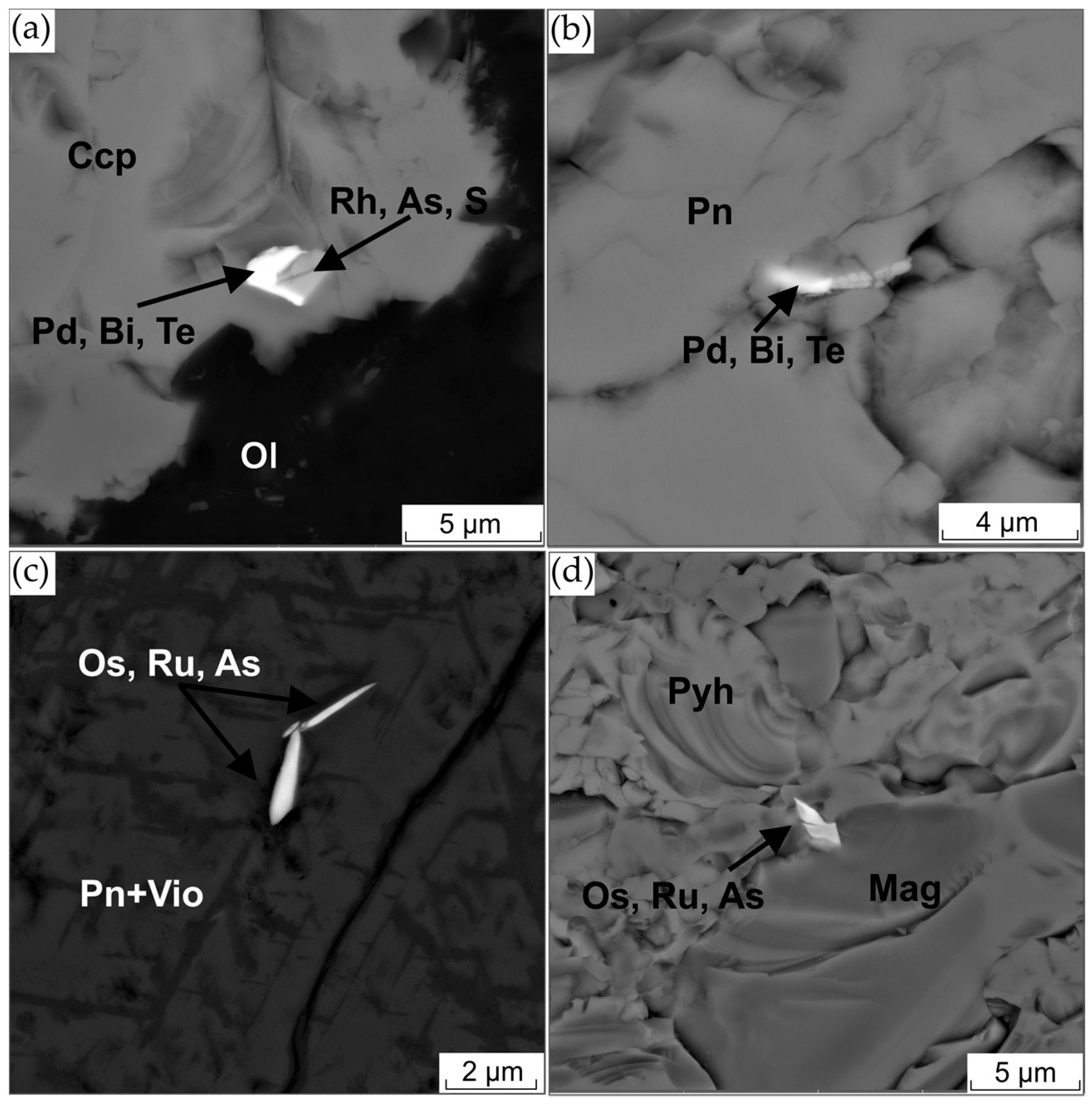 Minerals 15 00612 g012