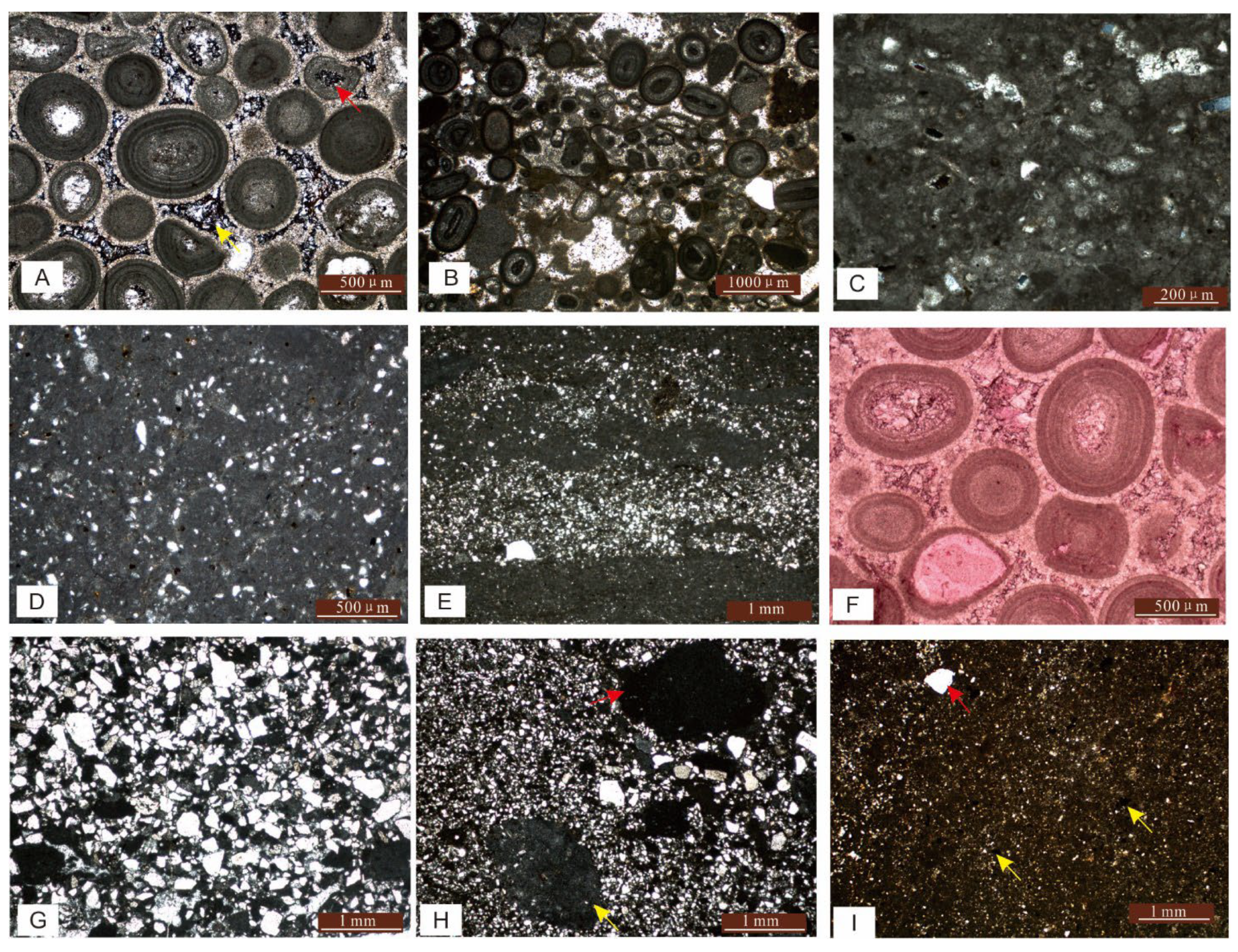 Minerals 15 00613 g003
