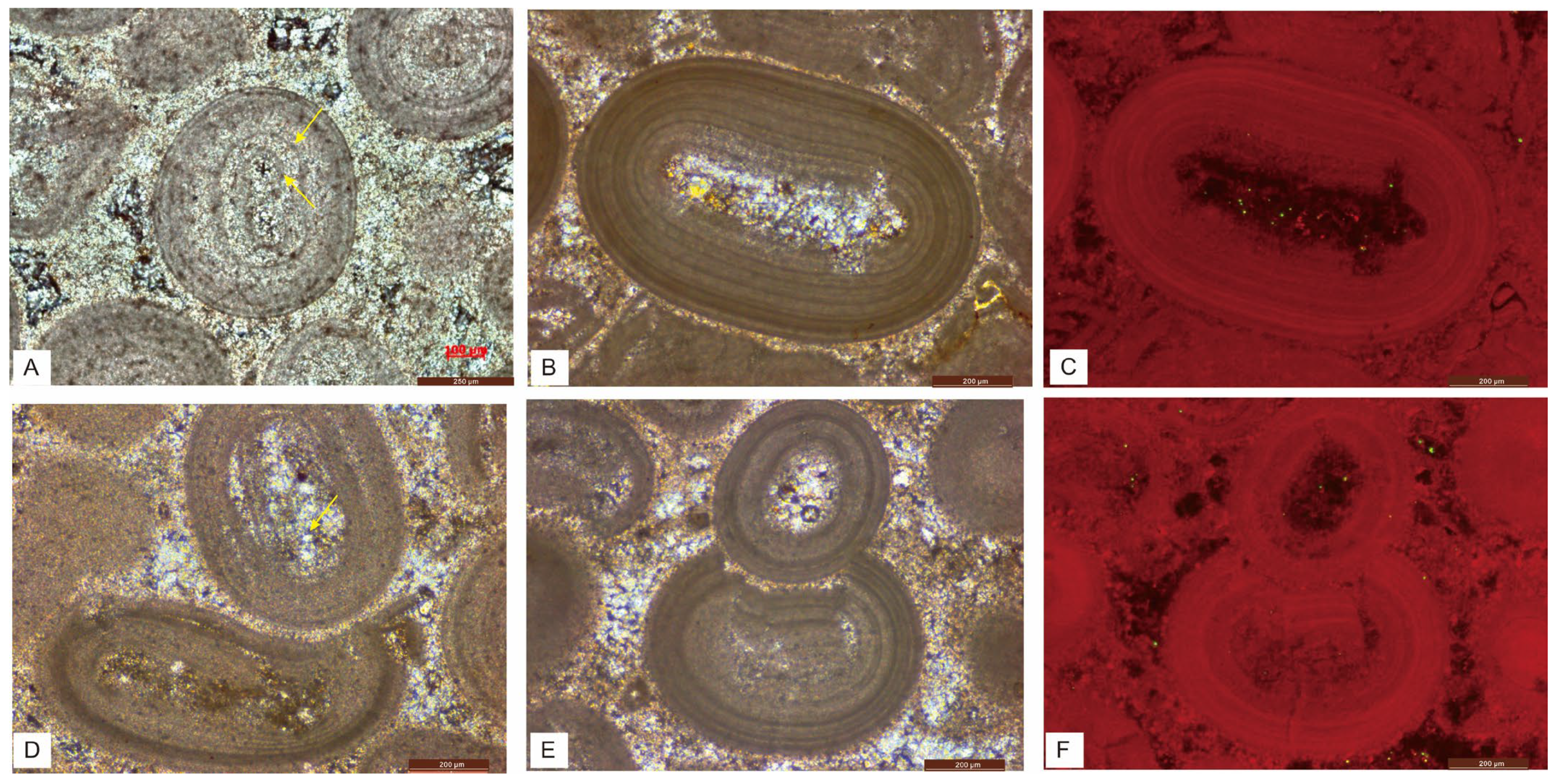 Minerals 15 00613 g004