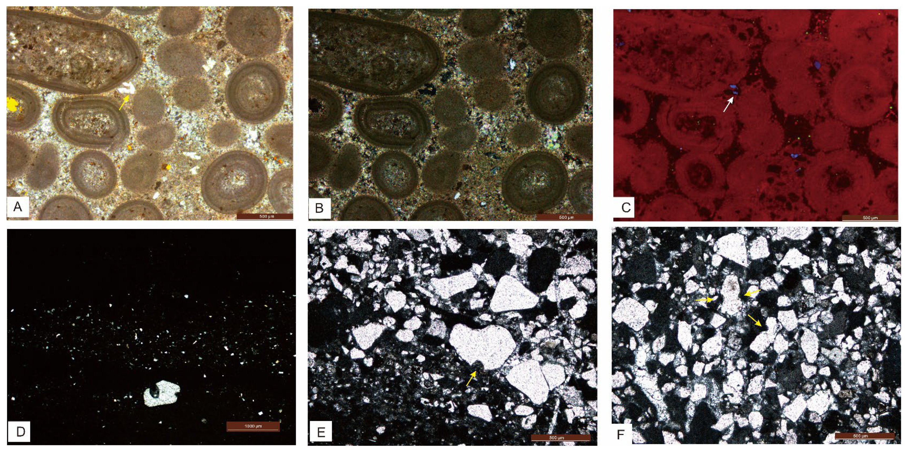Minerals 15 00613 g005a