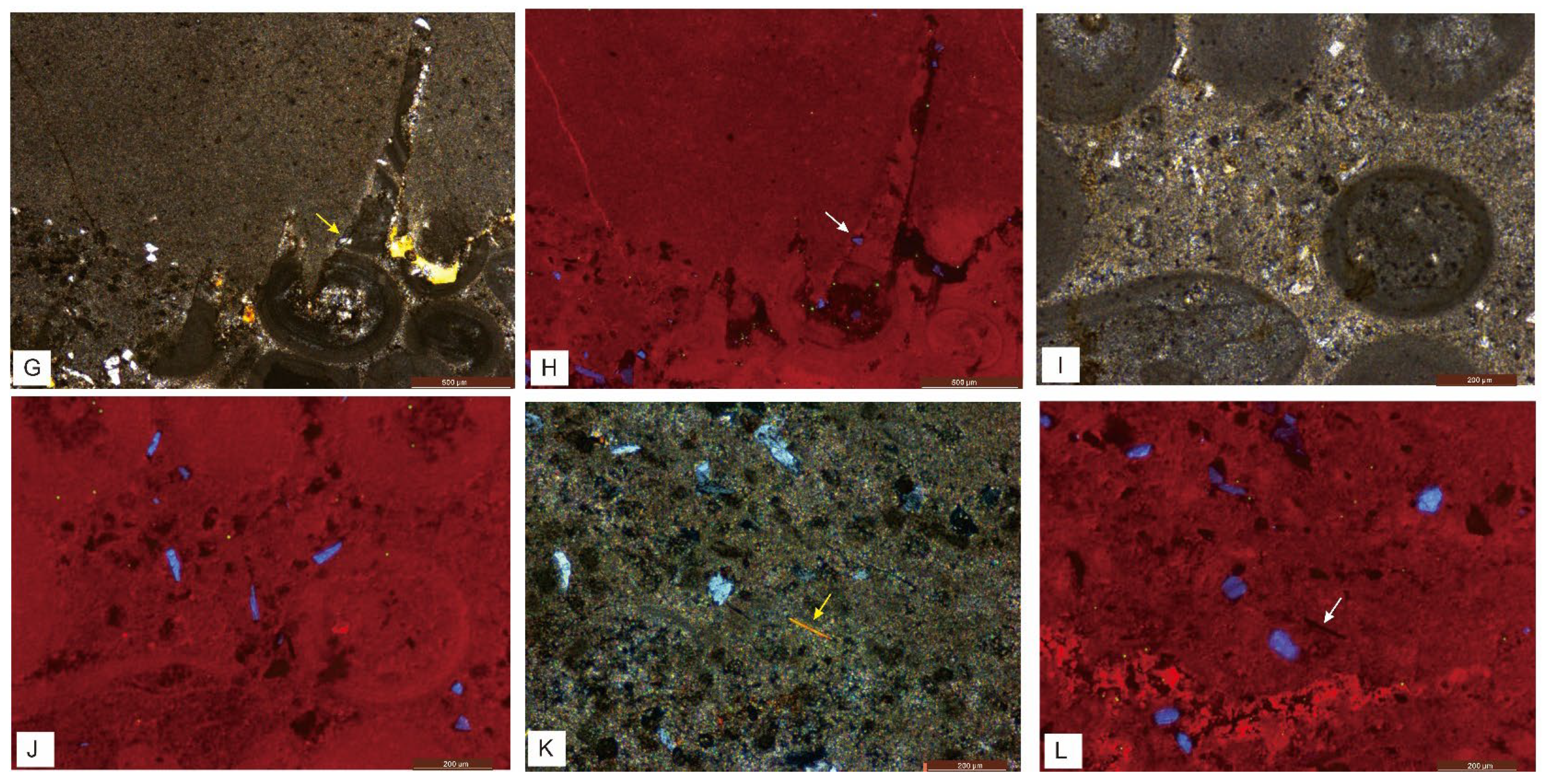 Minerals 15 00613 g005b