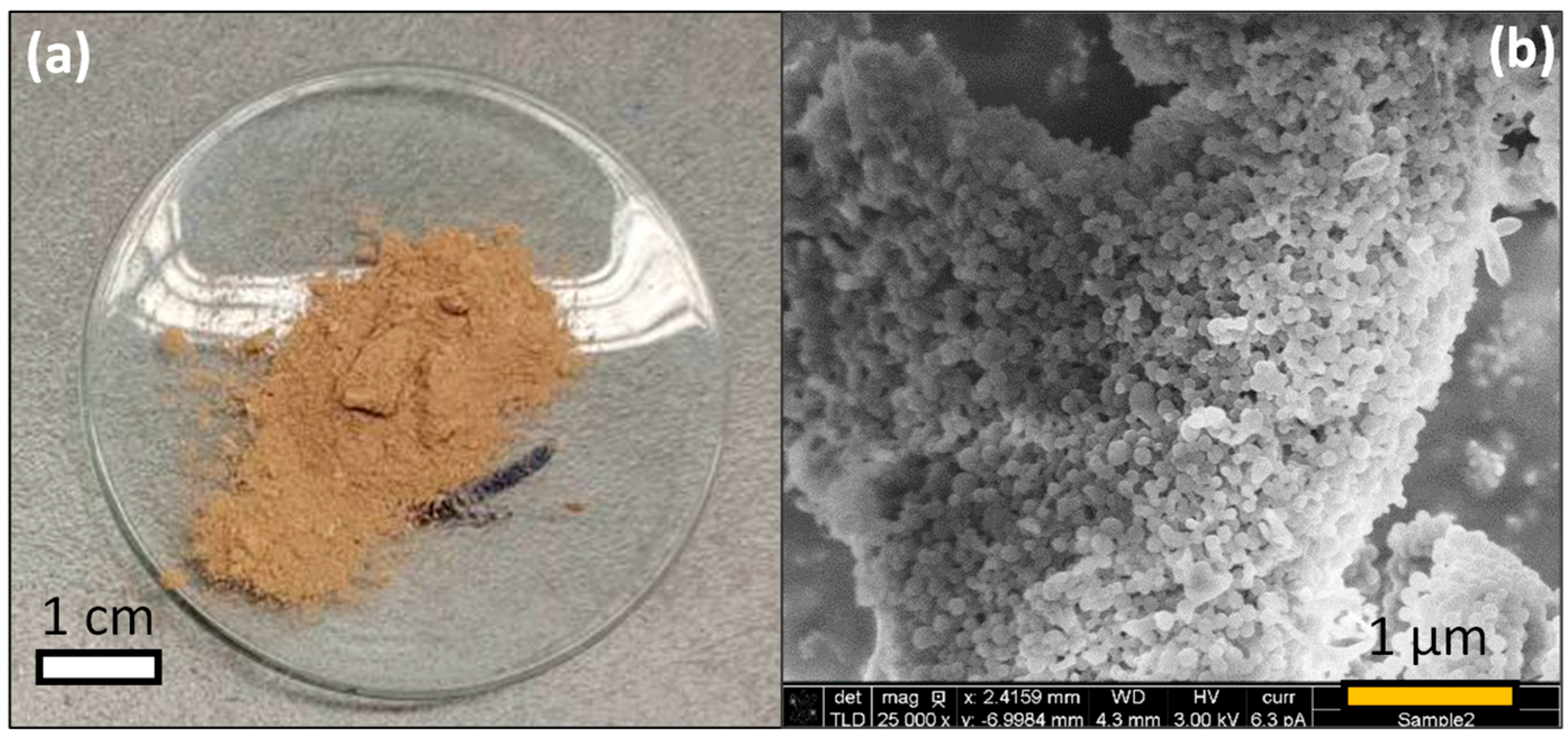 Minerals 15 00614 g001