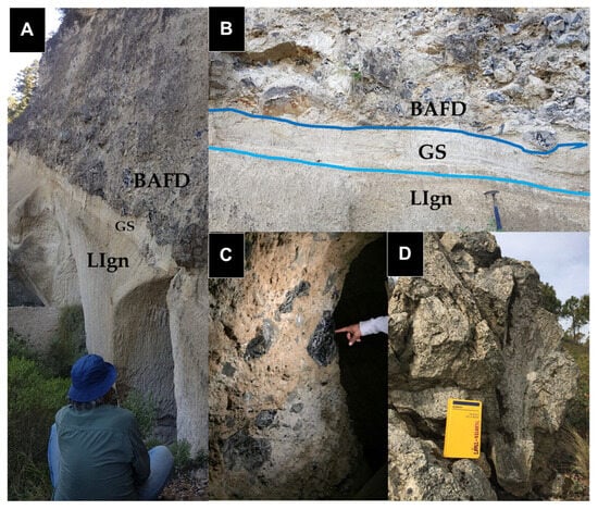 Minerals 15 00629 g011