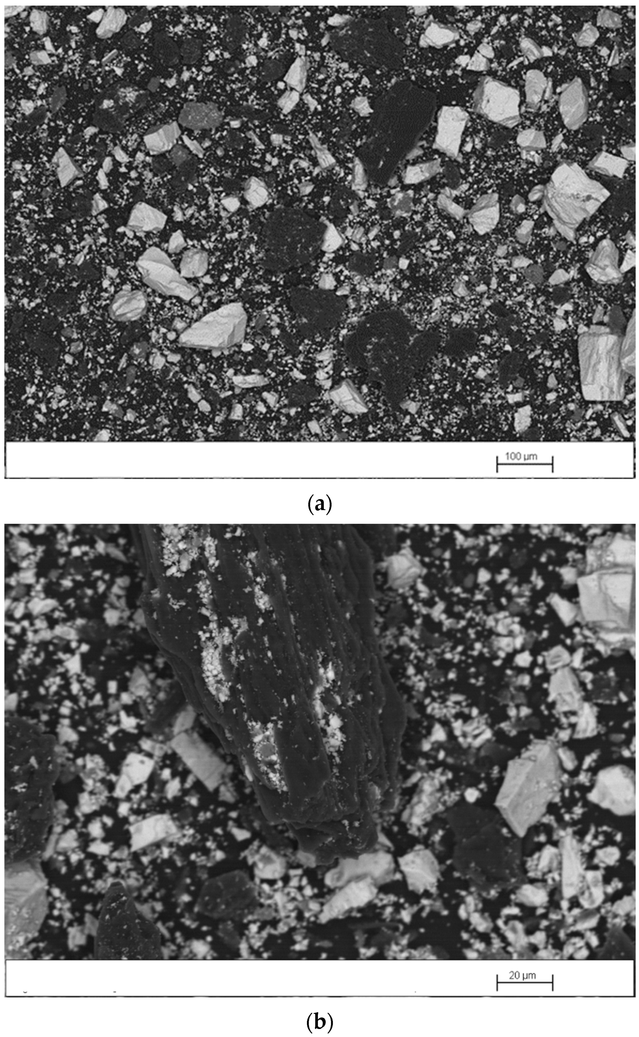 Minerals 15 00646 g005