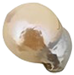 Minerals 15 00654 i018