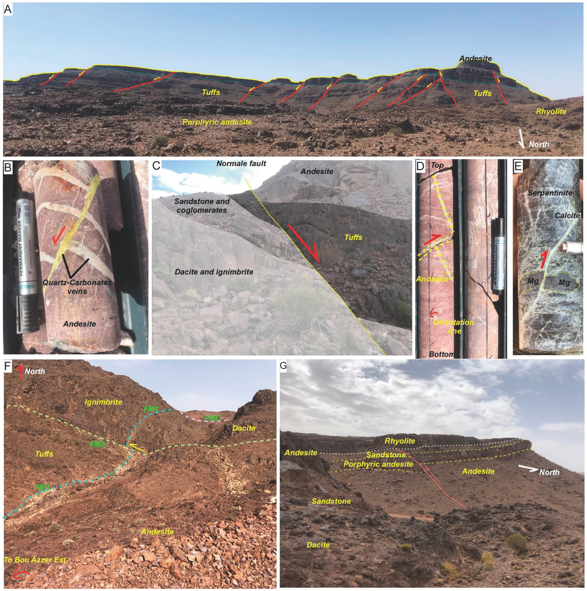 Minerals 15 00676 g005