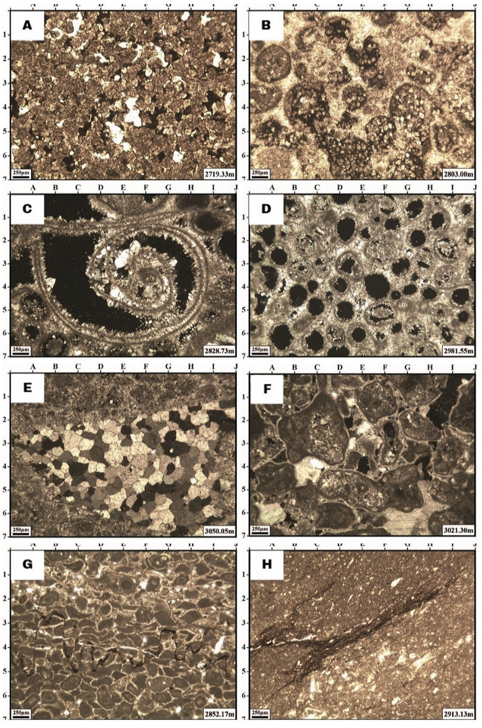 Minerals 15 00690 g002 Minerals 15 00690 g002