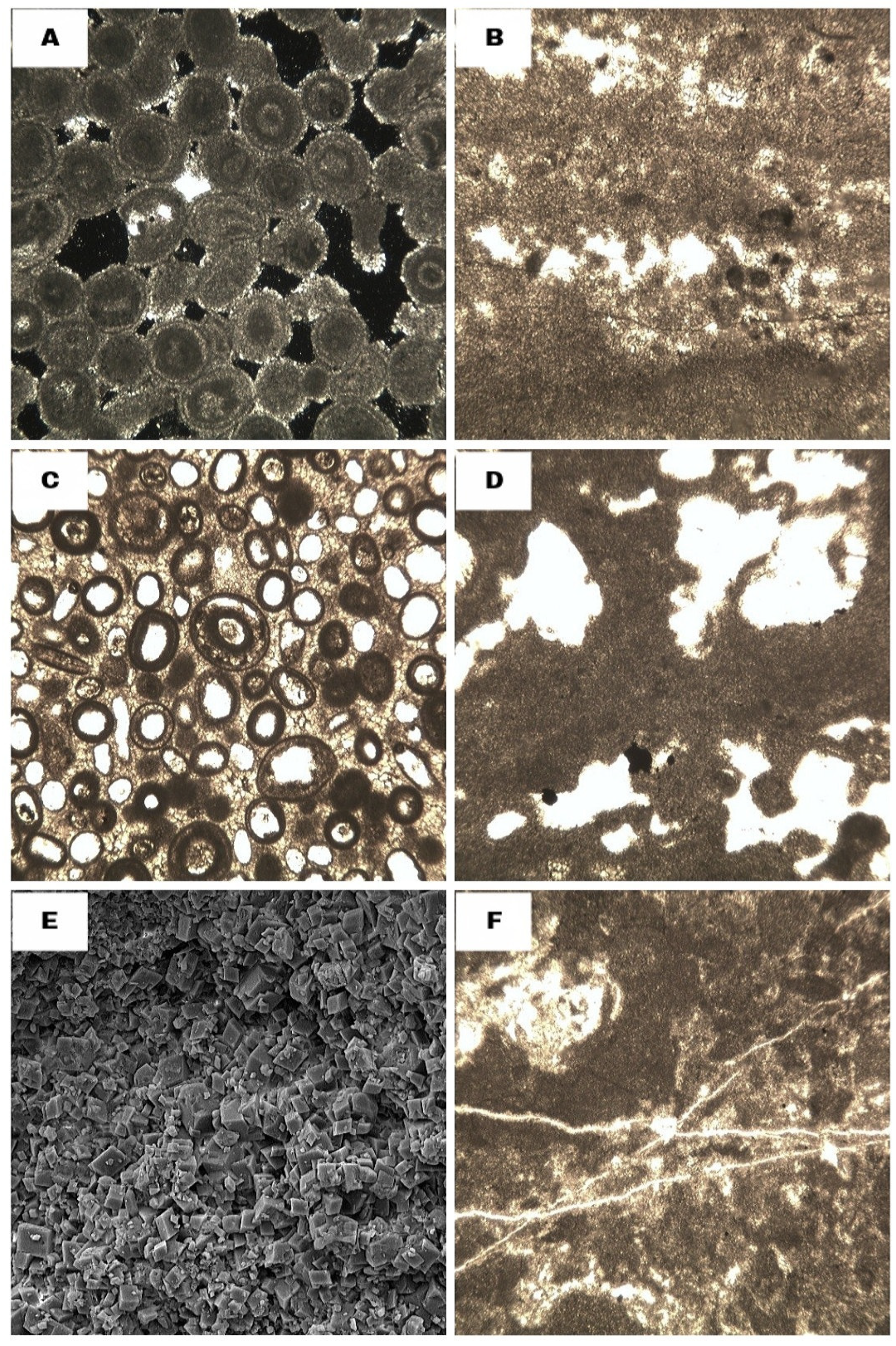 Minerals 15 00690 g009 Minerals 15 00690 g009