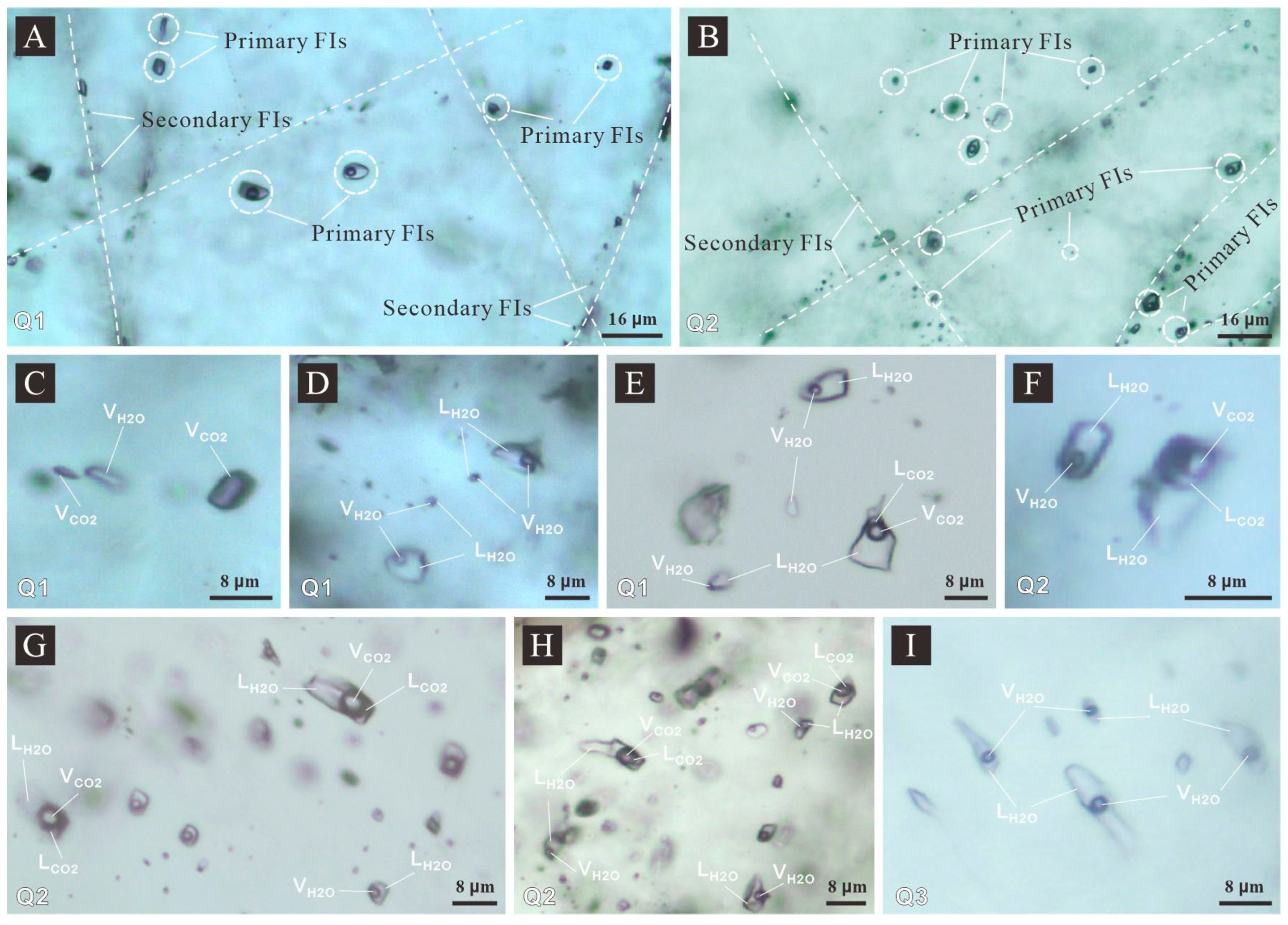 Minerals 15 00696 g006