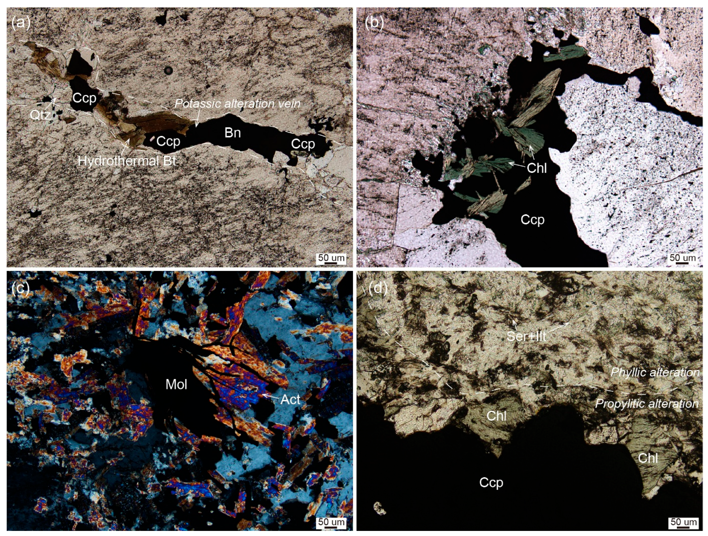 Minerals 15 00780 g005 Minerals 15 00780 g005