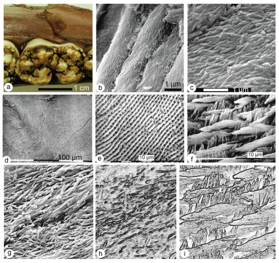 Minerals 15 00807 g002