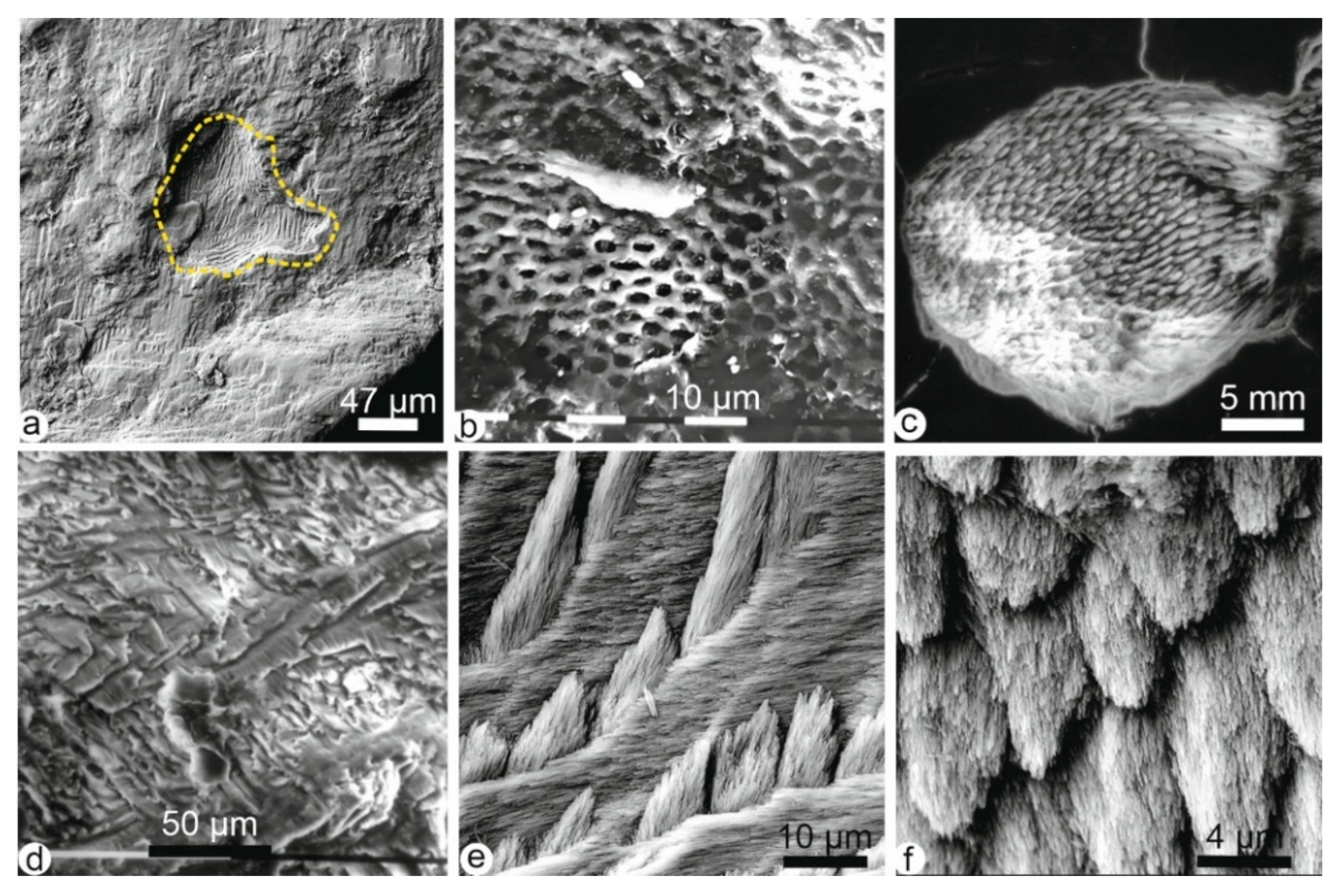 Minerals 15 00807 g003