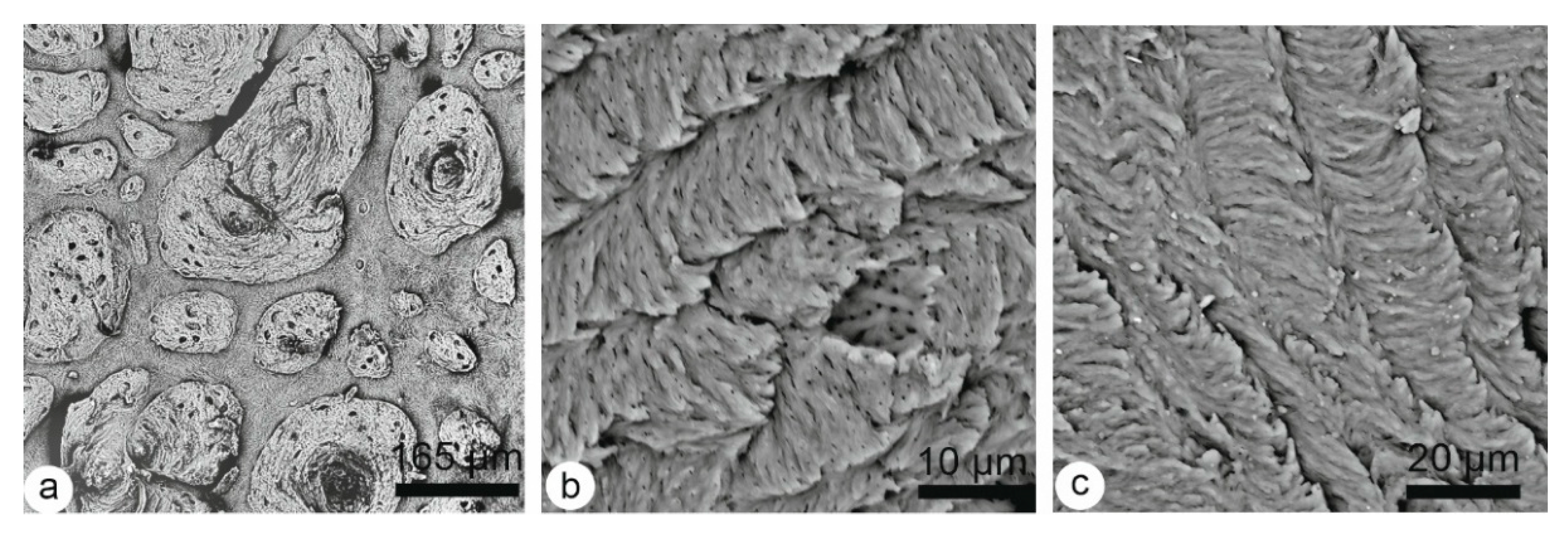 Minerals 15 00807 g006