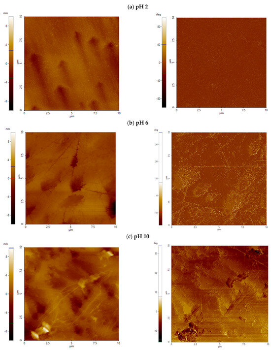 Minerals 15 00834 g0a2