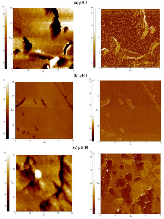 Minerals 15 00834 g0a3