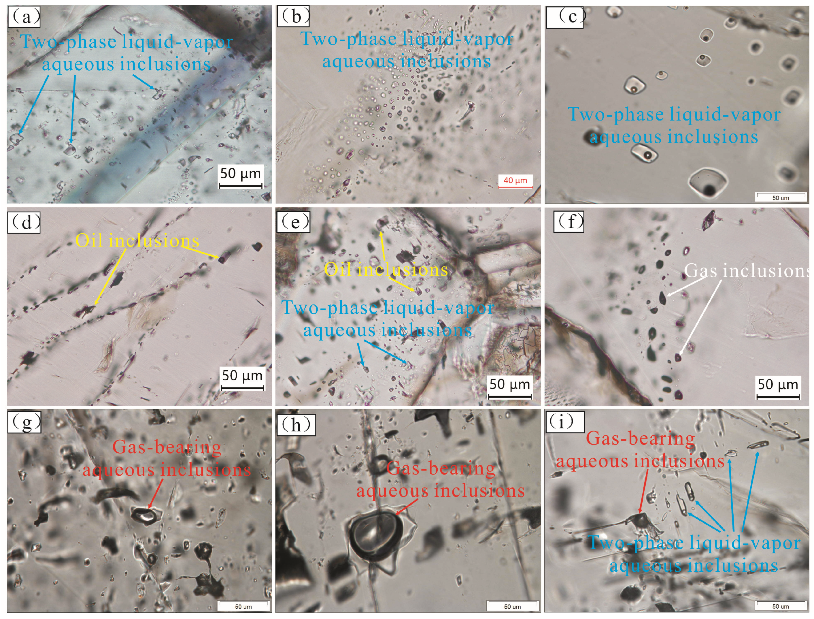 Minerals 15 00860 g004