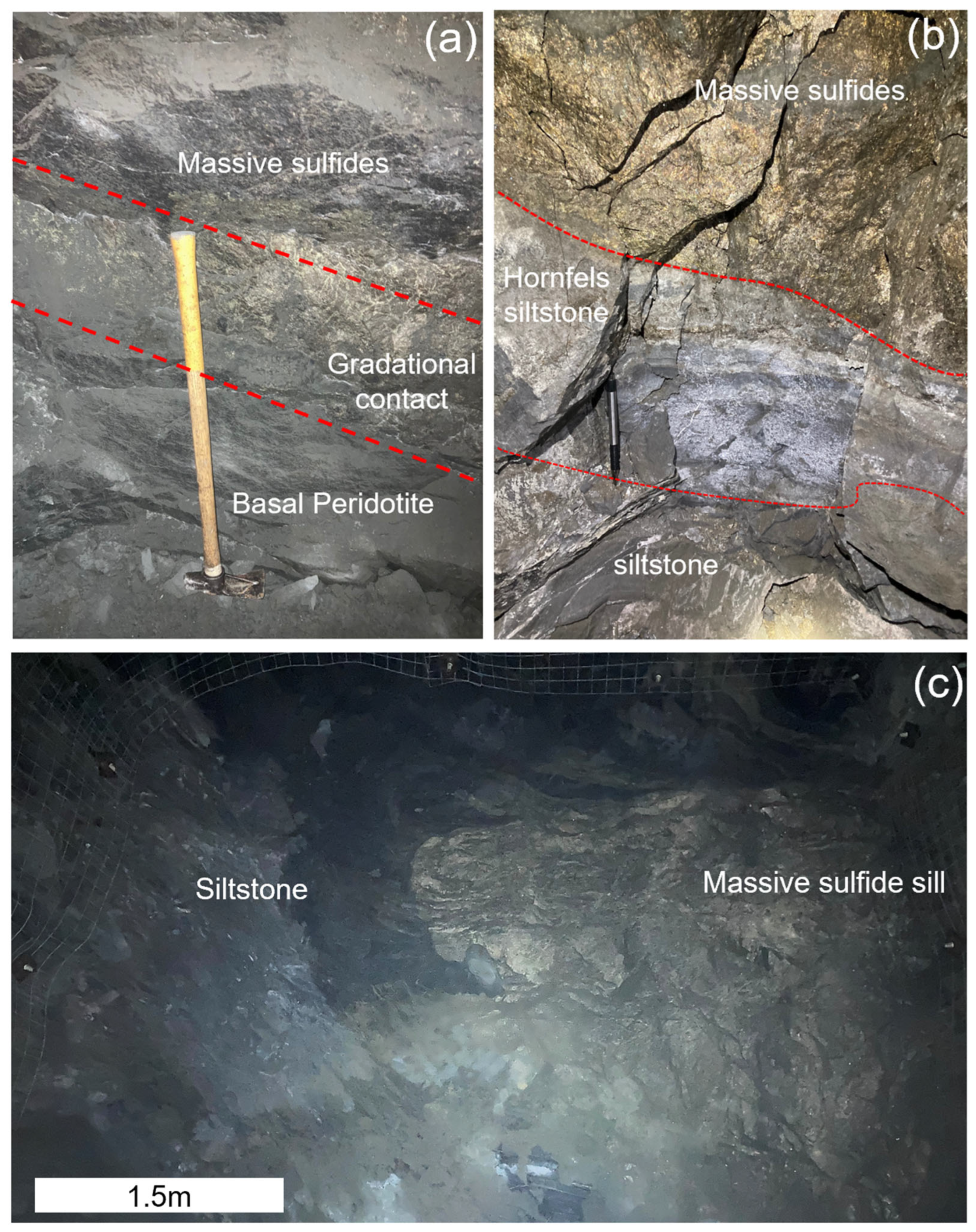 Minerals 15 00871 g004
