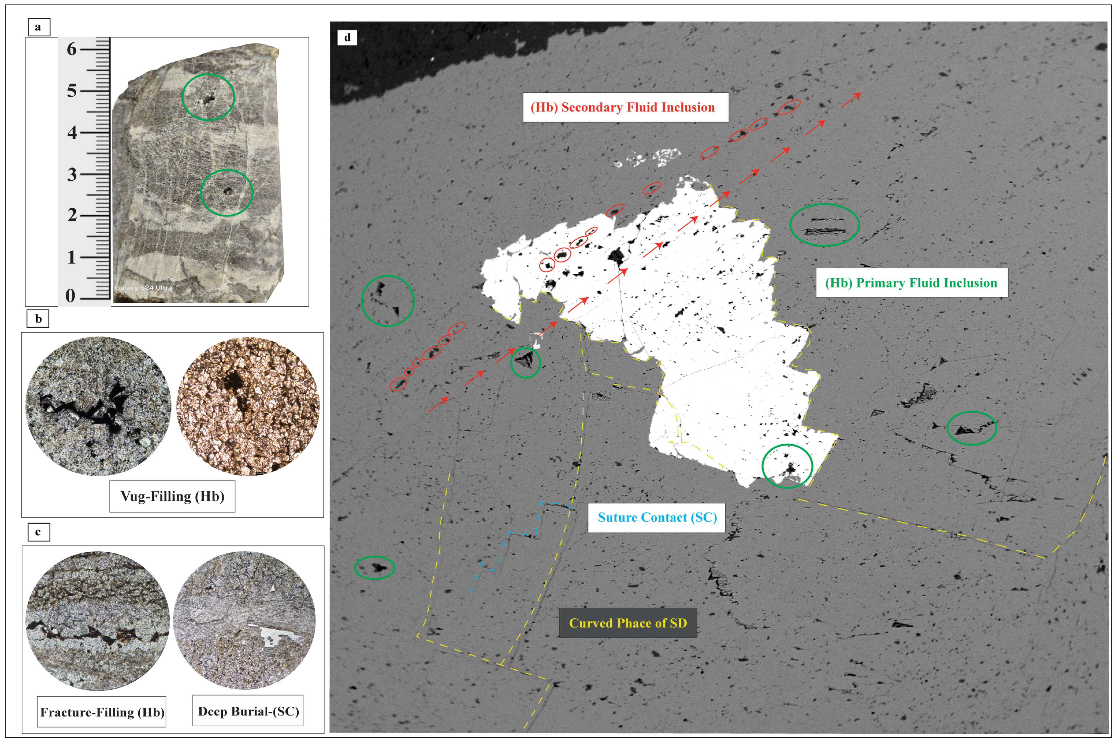 Minerals 15 00907 g013