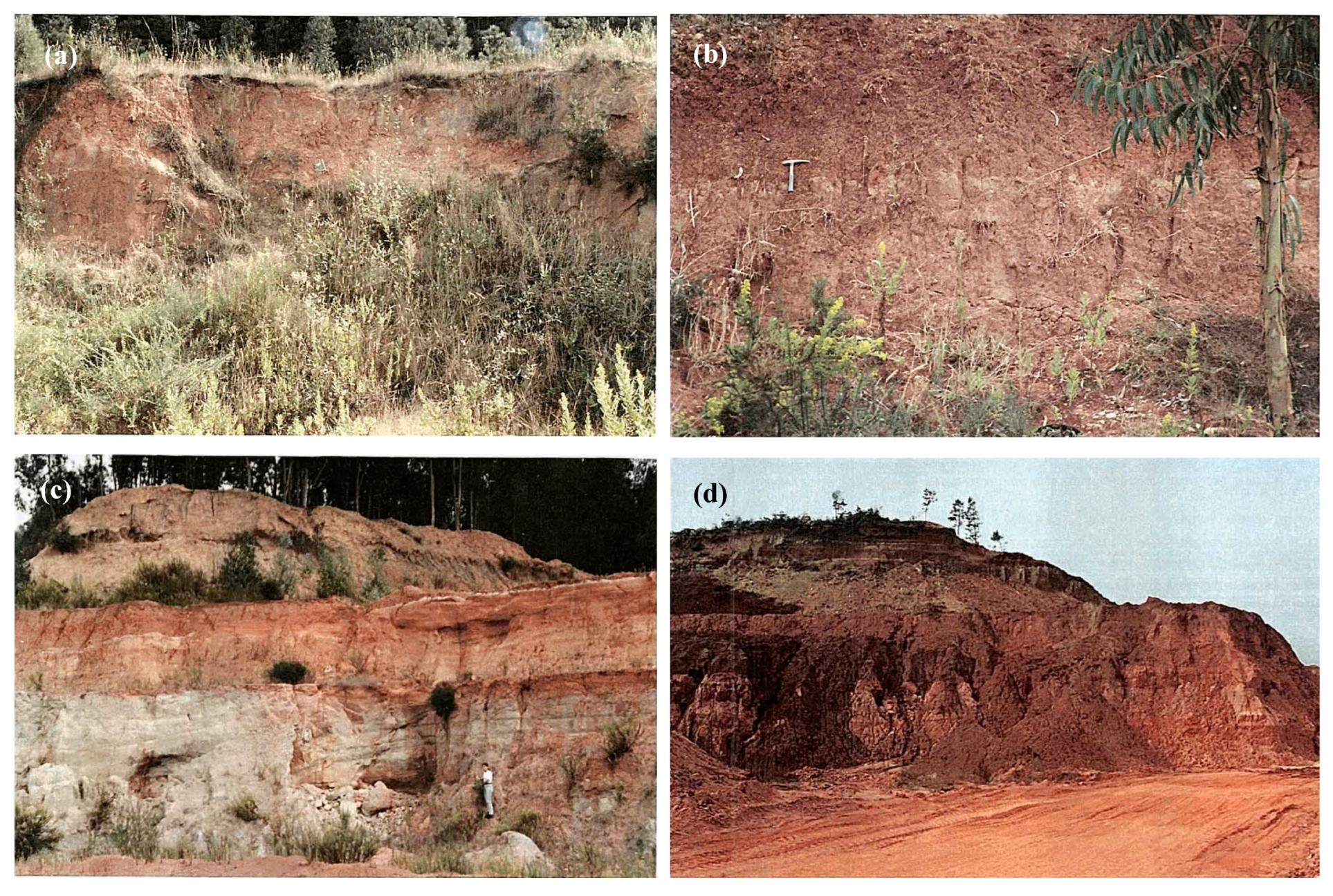 Minerals 15 00910 g001 Minerals 15 00910 g001