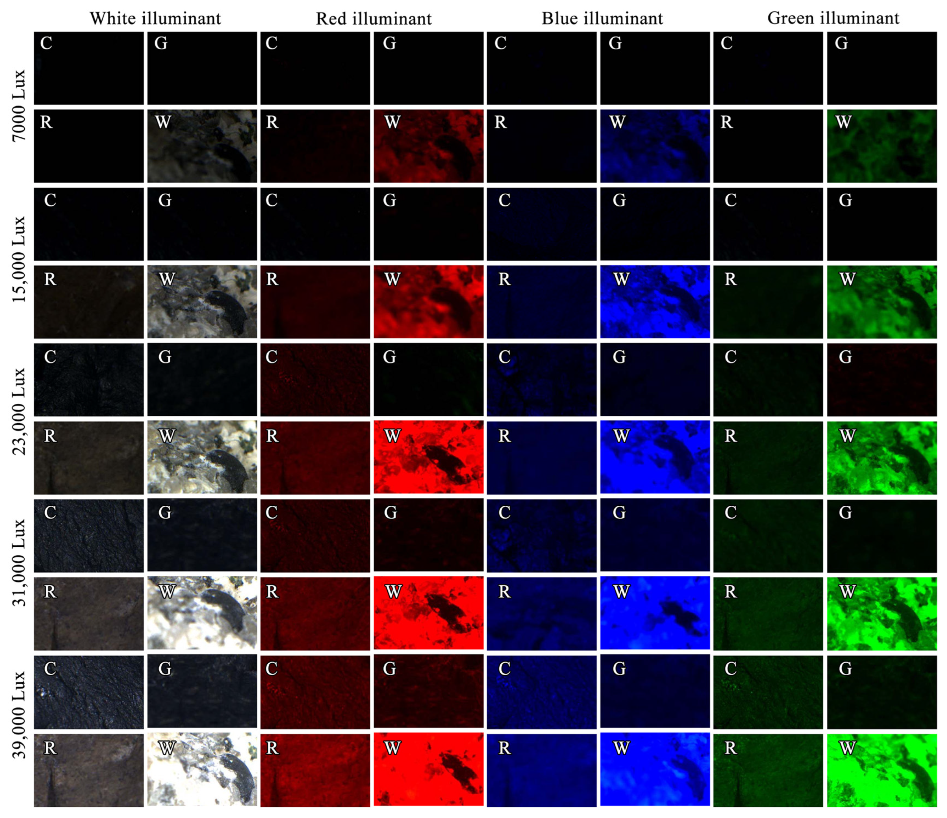 Minerals 15 00921 g002
