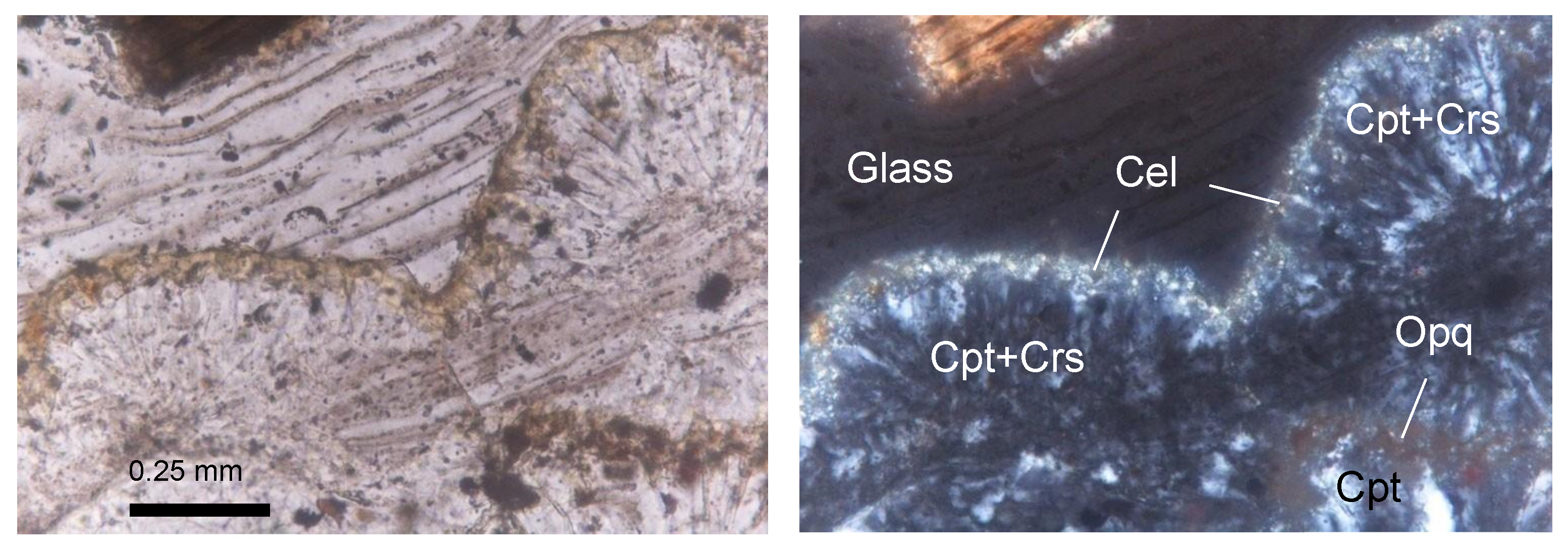 Minerals 15 00924 g007
