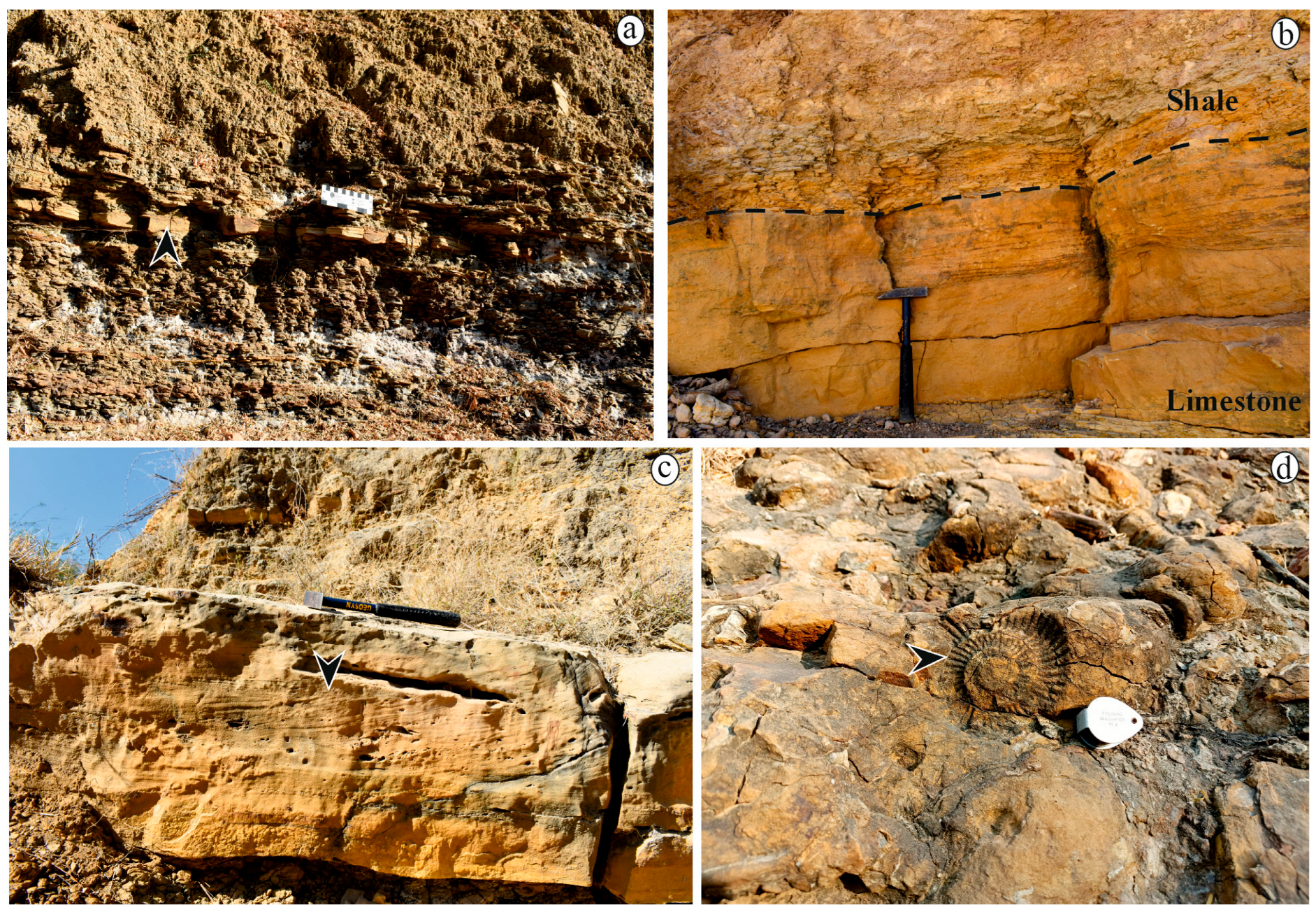 Minerals 15 00990 g003 Minerals 15 00990 g003