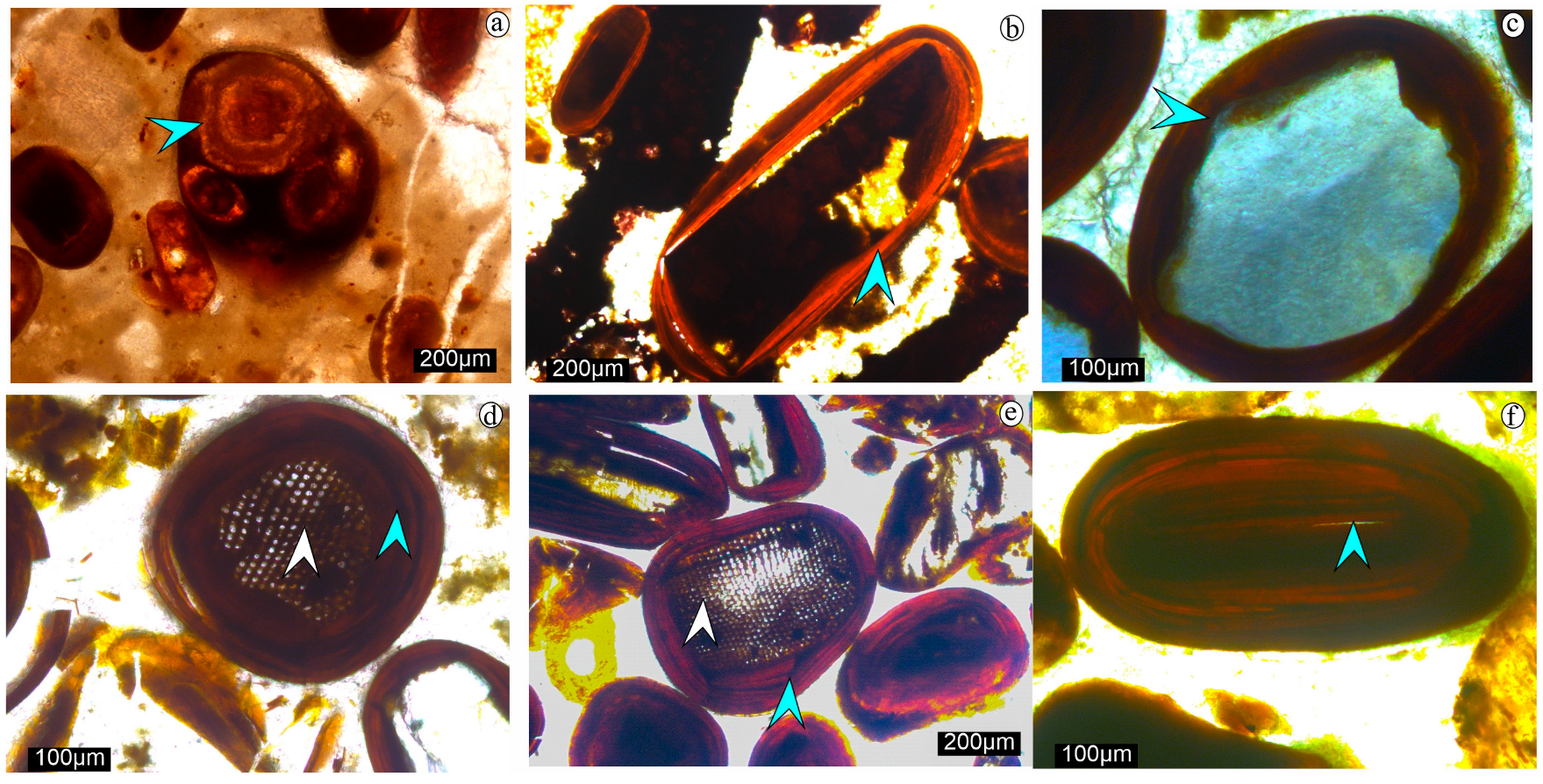 Minerals 15 00990 g004 Minerals 15 00990 g004
