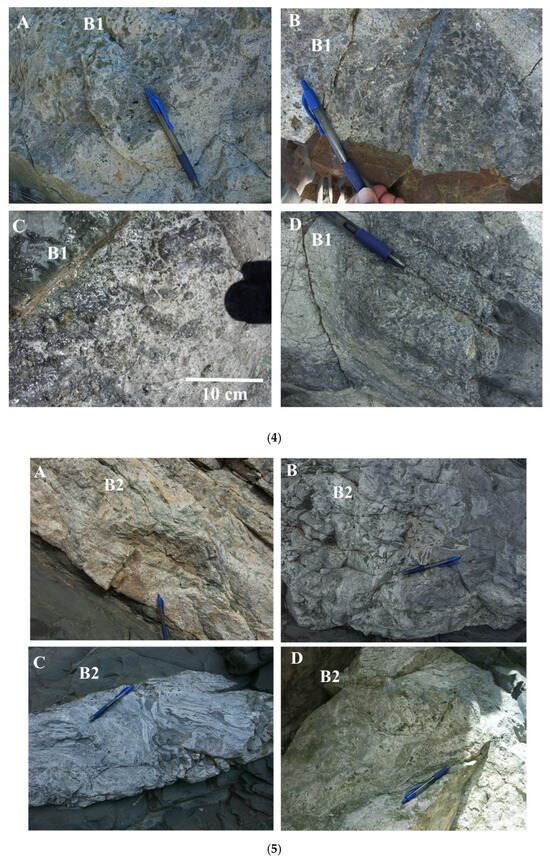 Minerals 15 01007 g004c