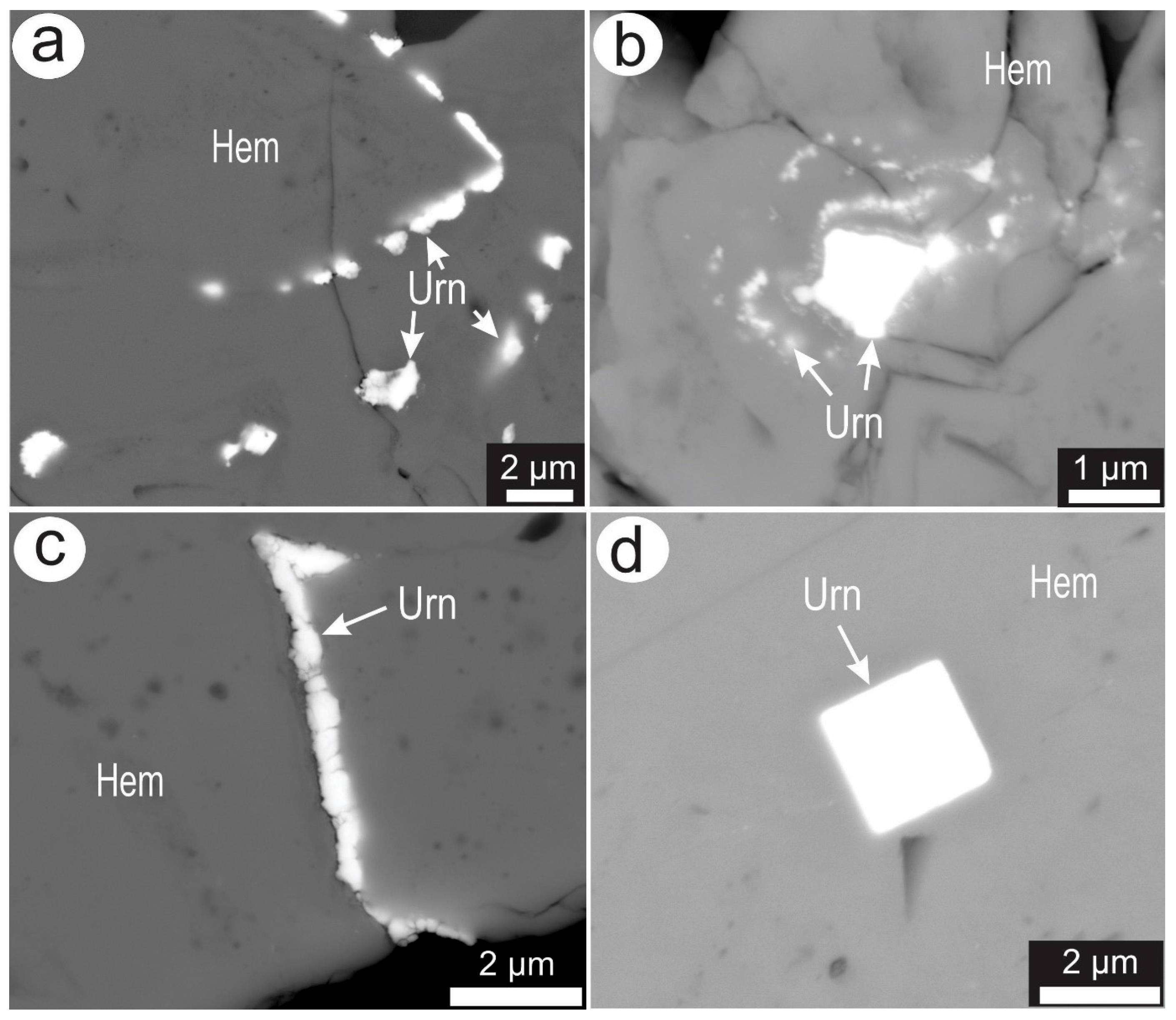 Minerals 15 01018 g005