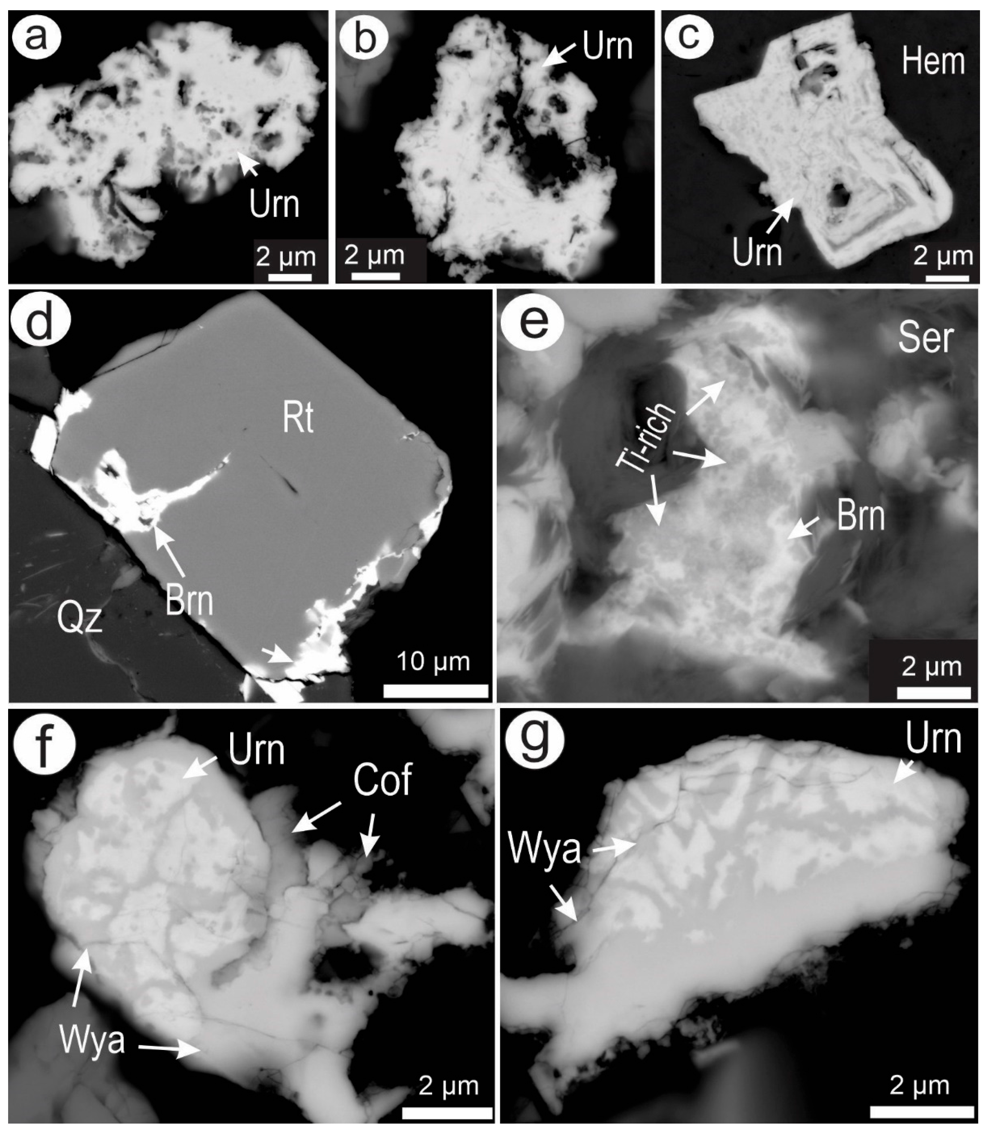 Minerals 15 01018 g011