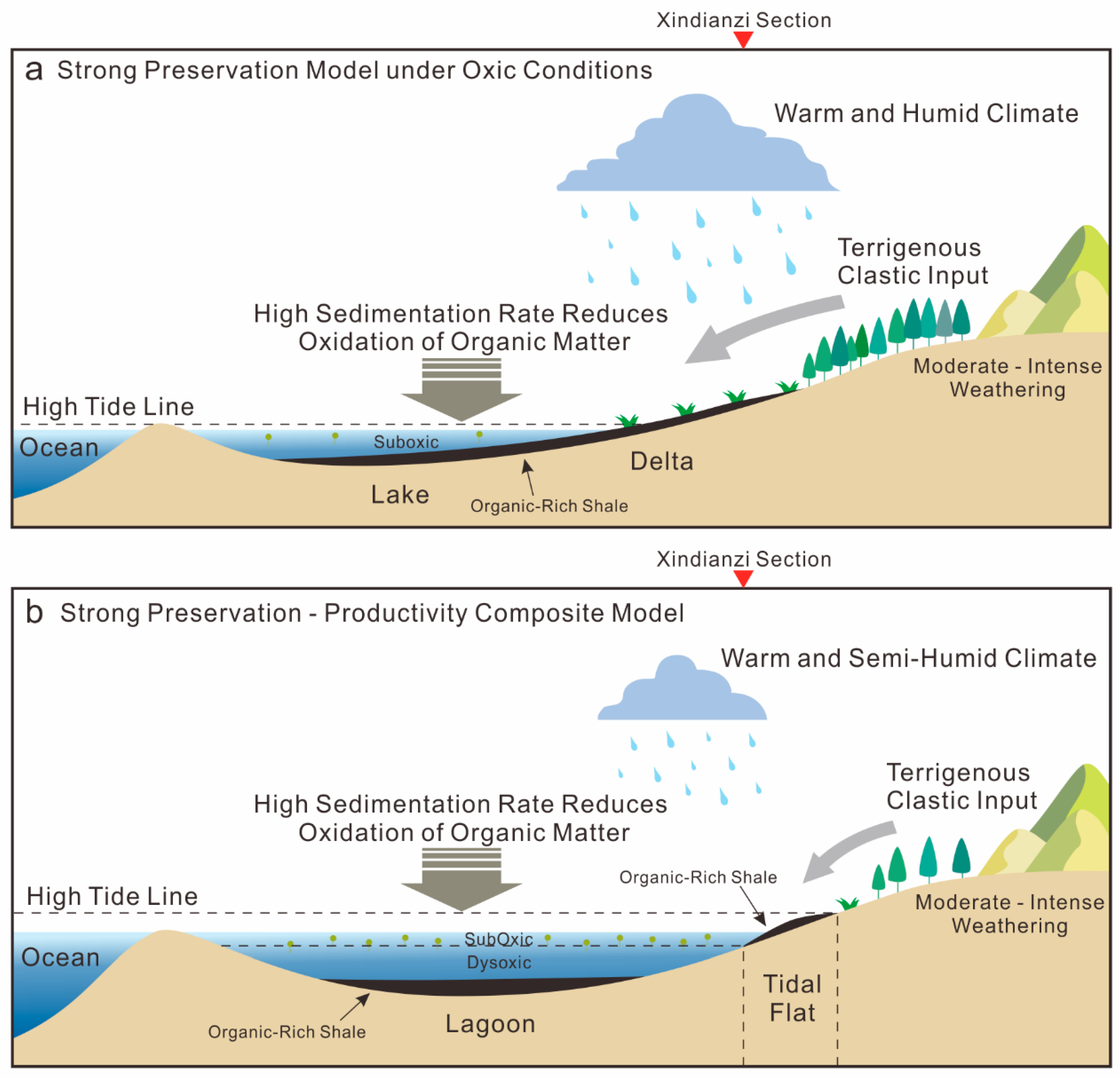 Minerals 15 01071 g009