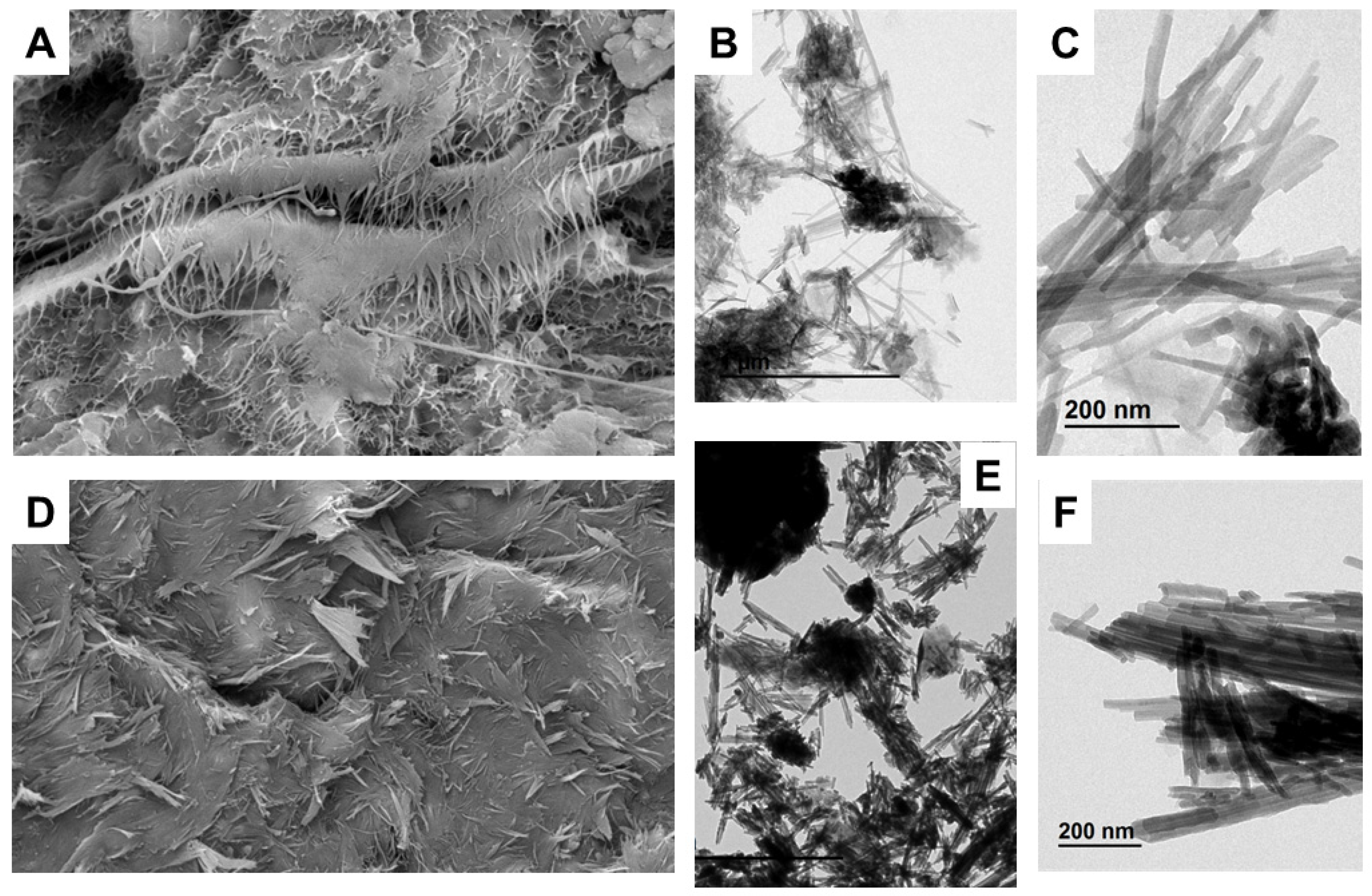 Minerals 15 01083 g006