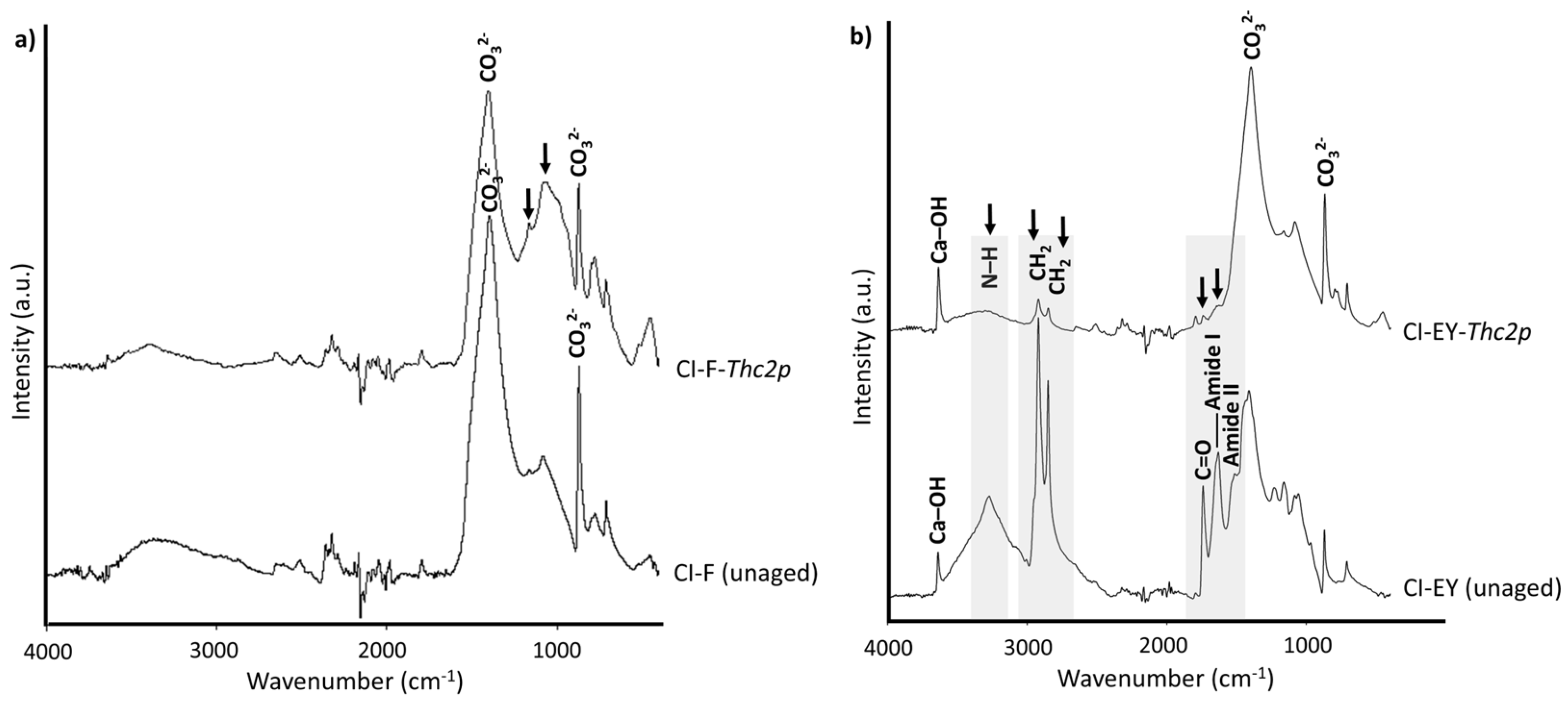 Minerals 16 00010 g007 Minerals 16 00010 g007