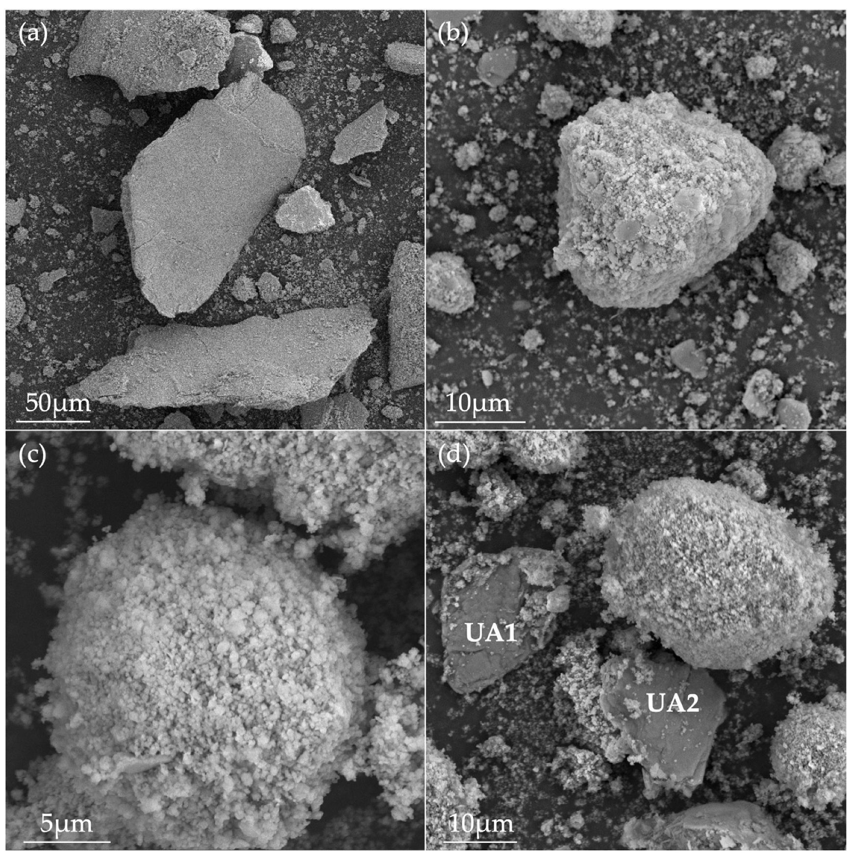 Minerals 16 00087 g006 Minerals 16 00087 g006