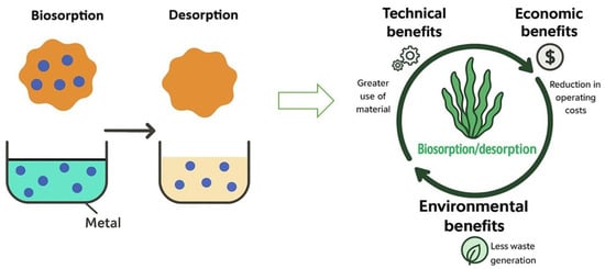 Conceptual processing of metallurgical effluents by biosorption and benefits of this biotreatment.