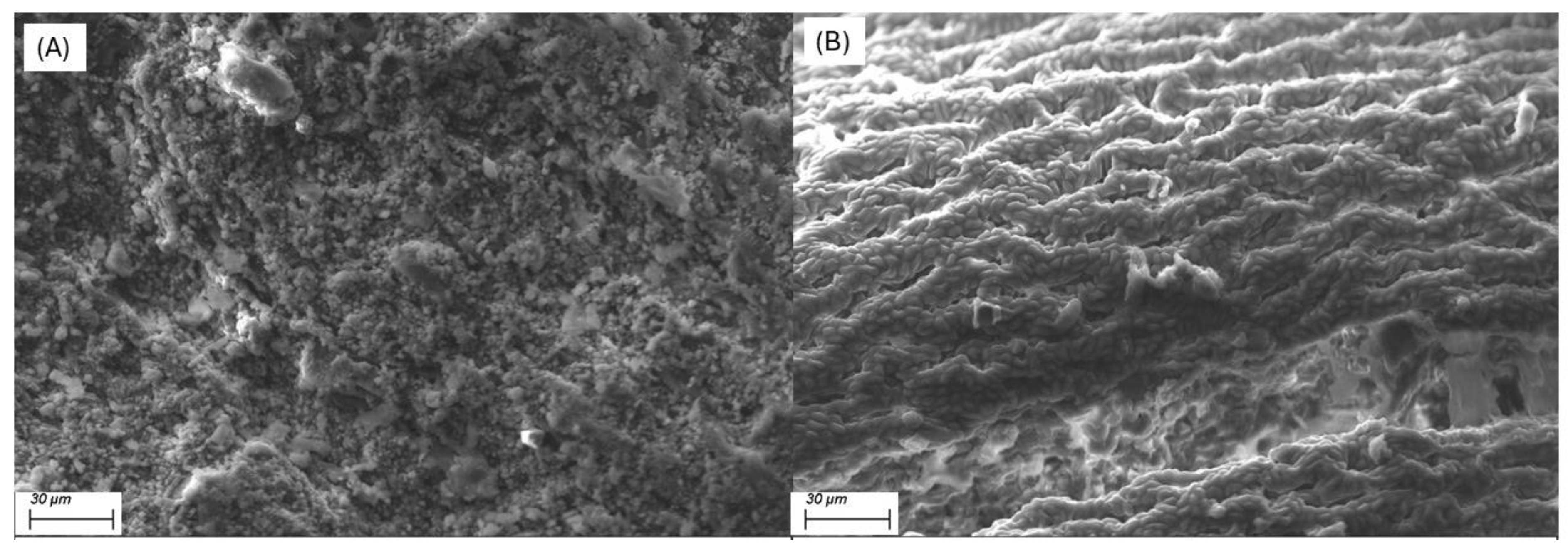 Minerals 16 00088 g005 Minerals 16 00088 g005