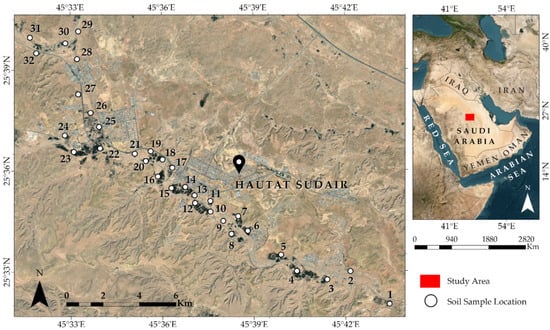 Location map of the study area and sampling sites (Source: Esri, Vantor, Earthstar Geographics, and the GIS User Community).