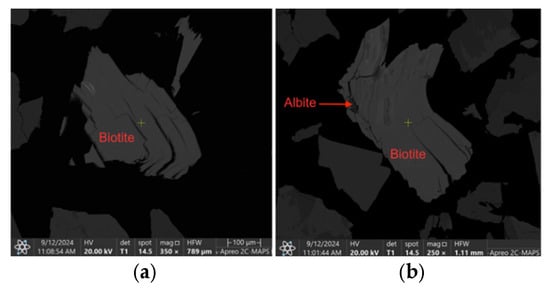 SEM-BSE images of (a) liberated biotite particle (−500 + 212 μm), (b) biotite particle binary locked with albite (−500 + 212 μm).