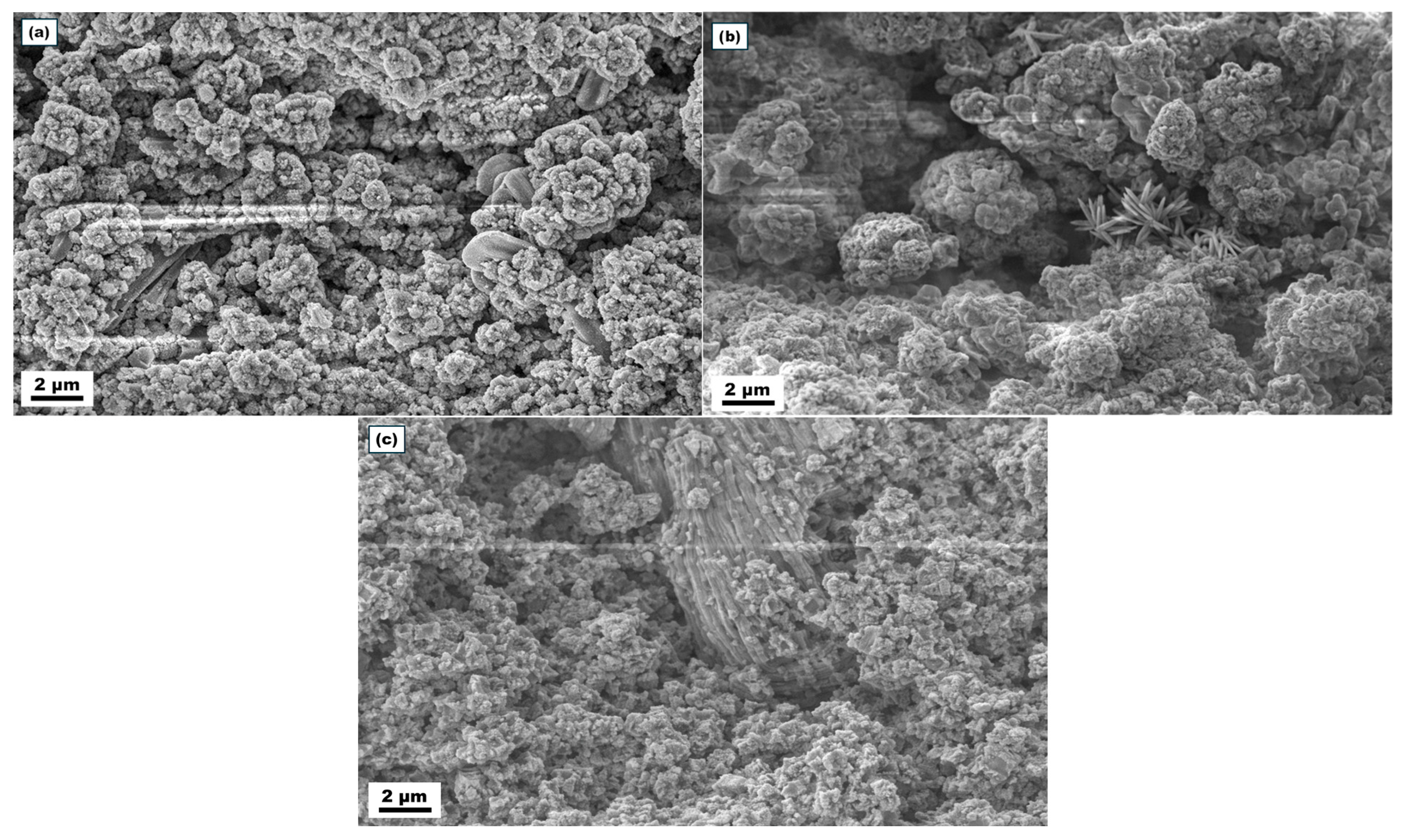 Minerals 16 00145 g010