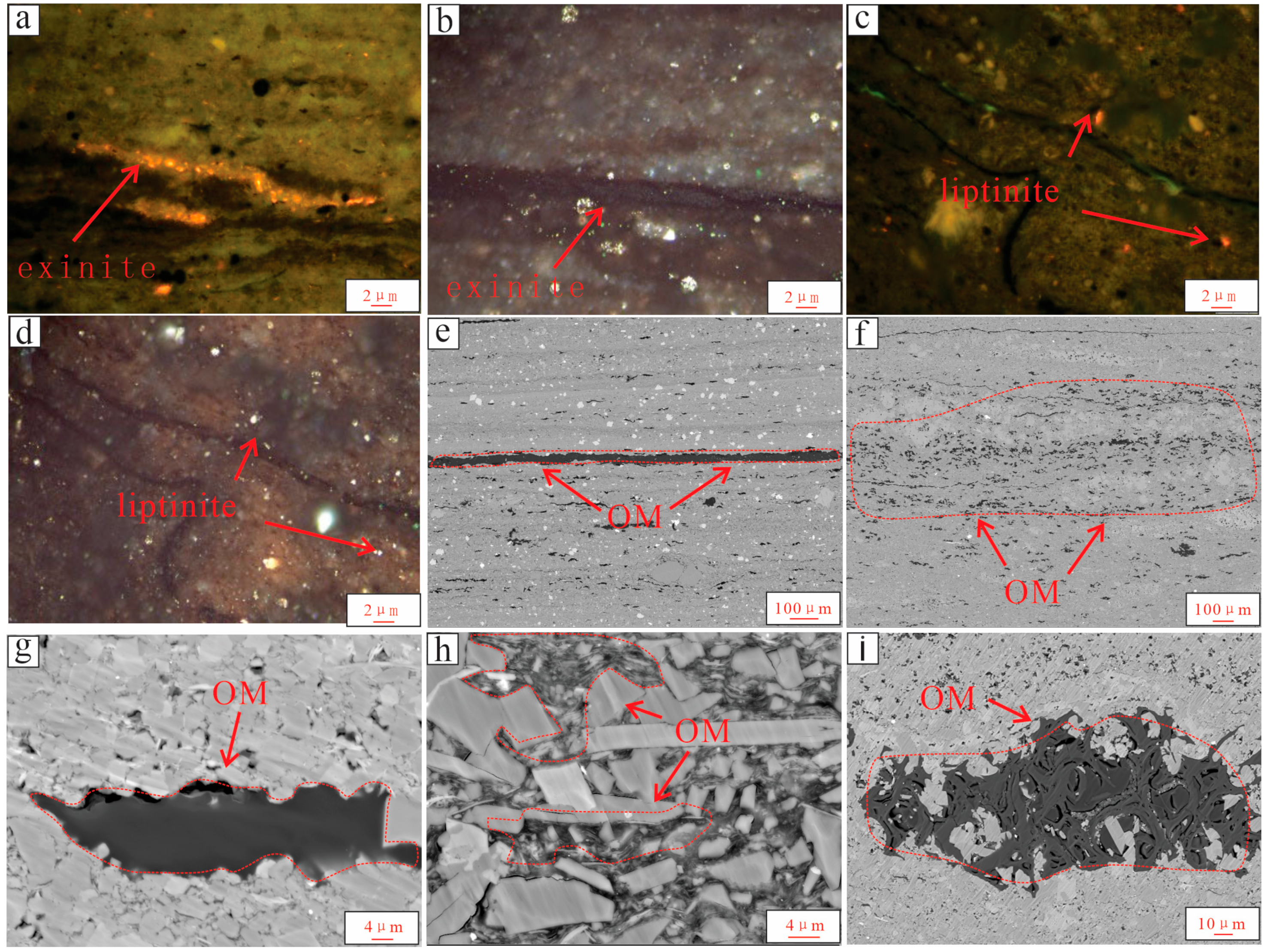 Minerals 16 00146 g005 Minerals 16 00146 g005