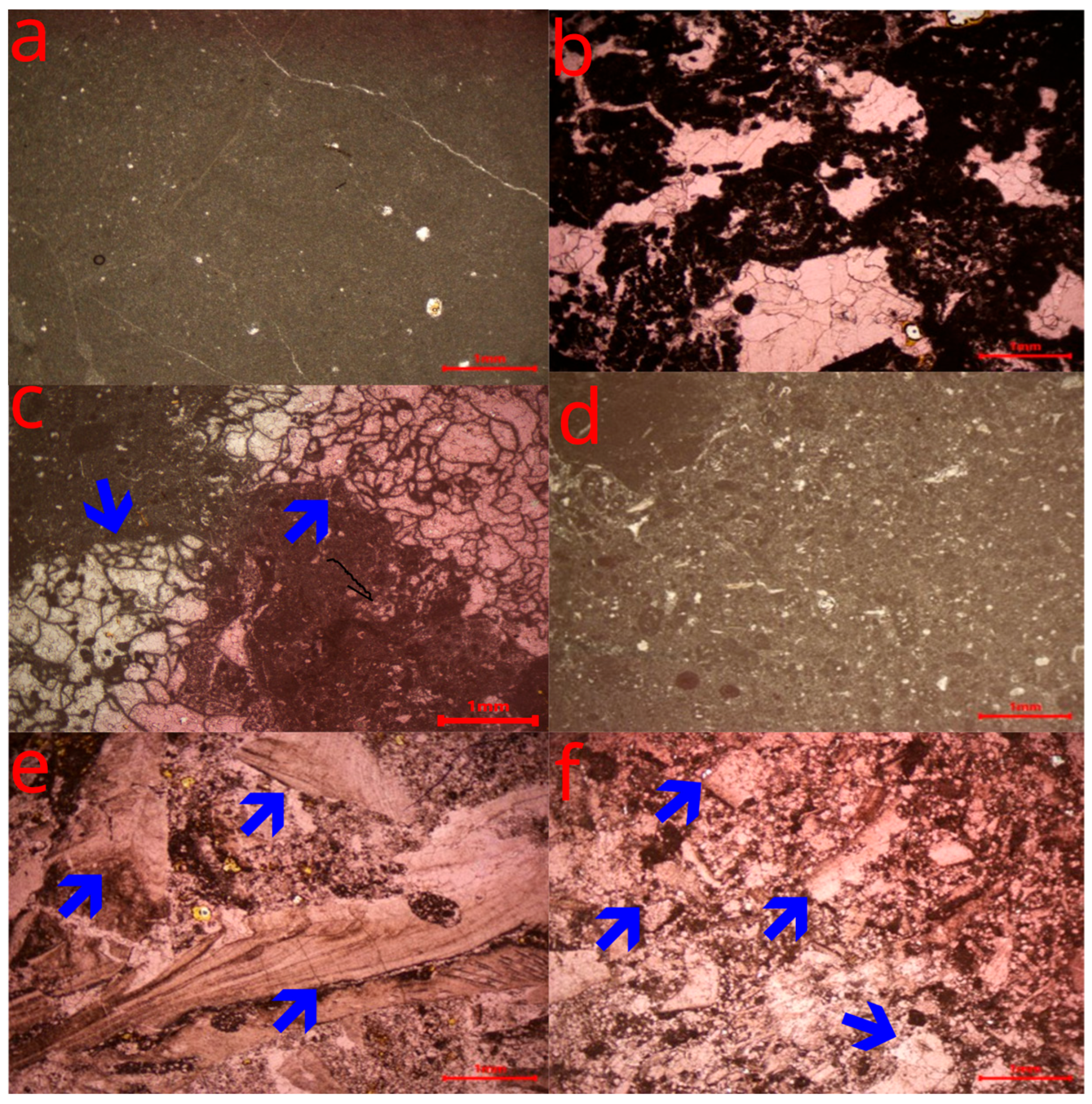 Minerals 16 00156 g004 Minerals 16 00156 g004