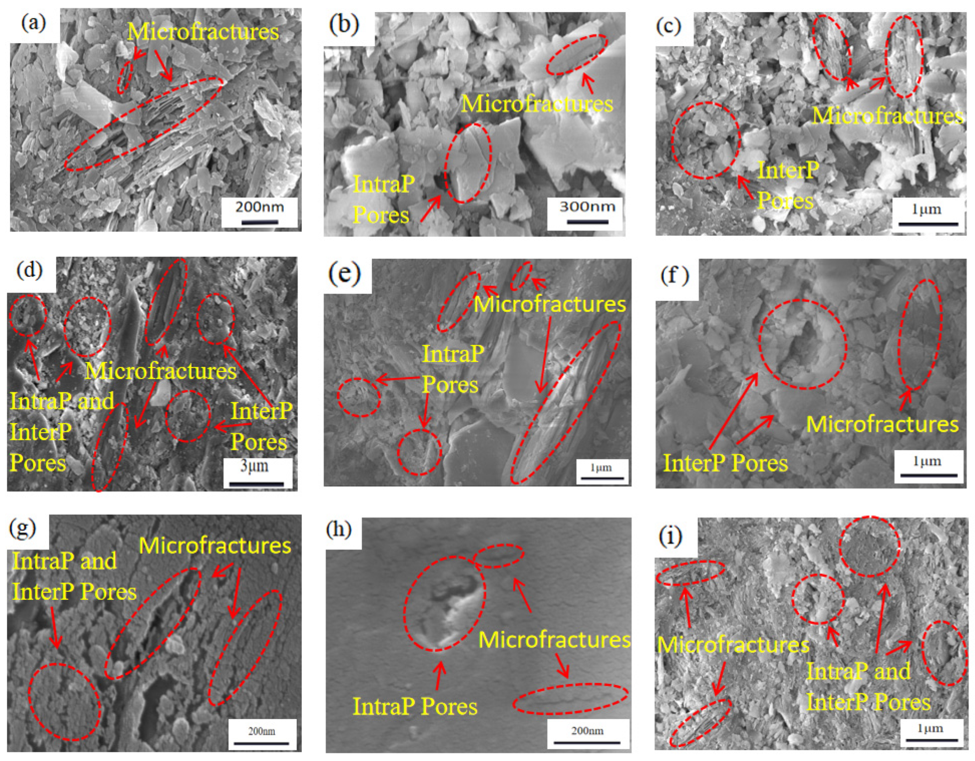 Minerals 16 00170 g006 Minerals 16 00170 g006