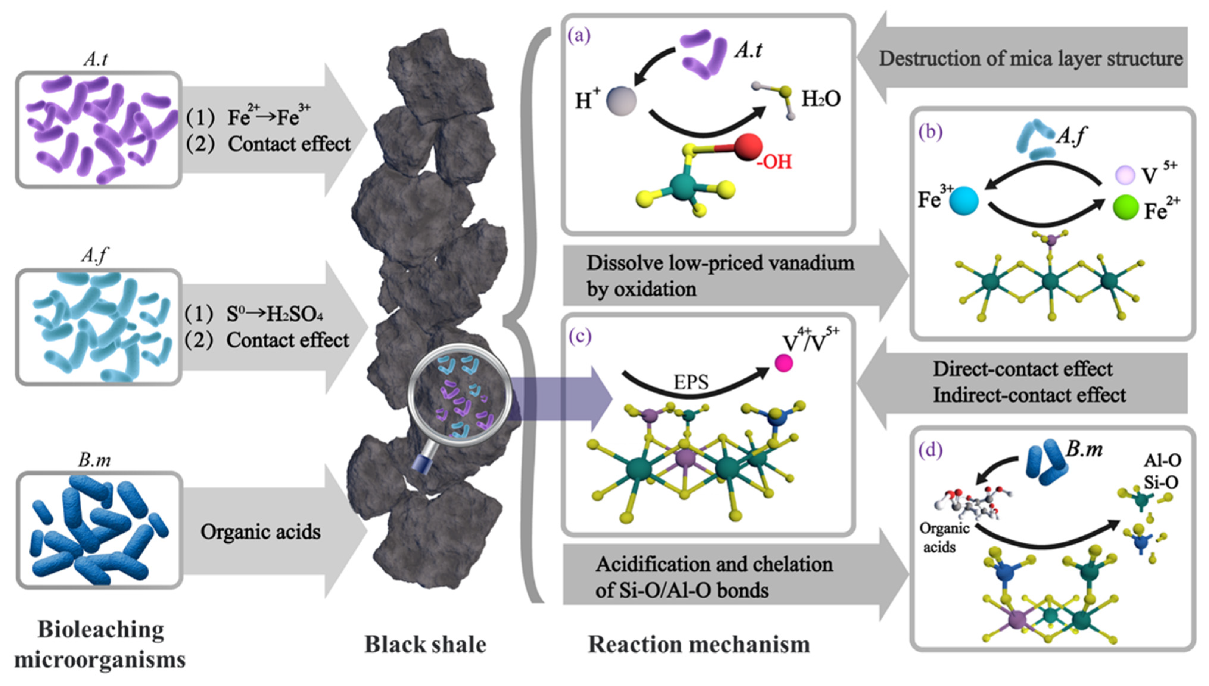 Minerals 16 00197 g018 Minerals 16 00197 g018