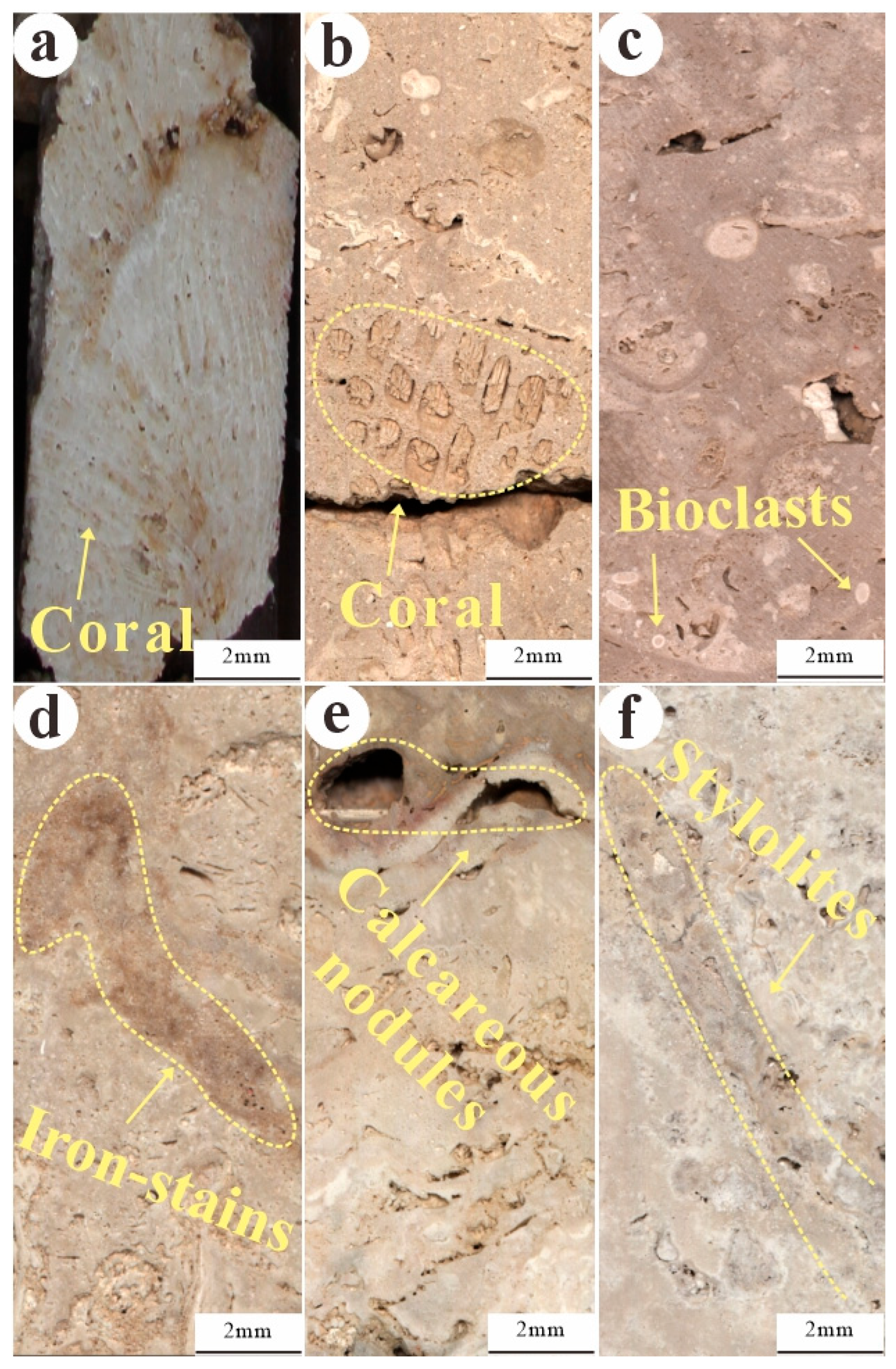 Minerals 16 00205 g002