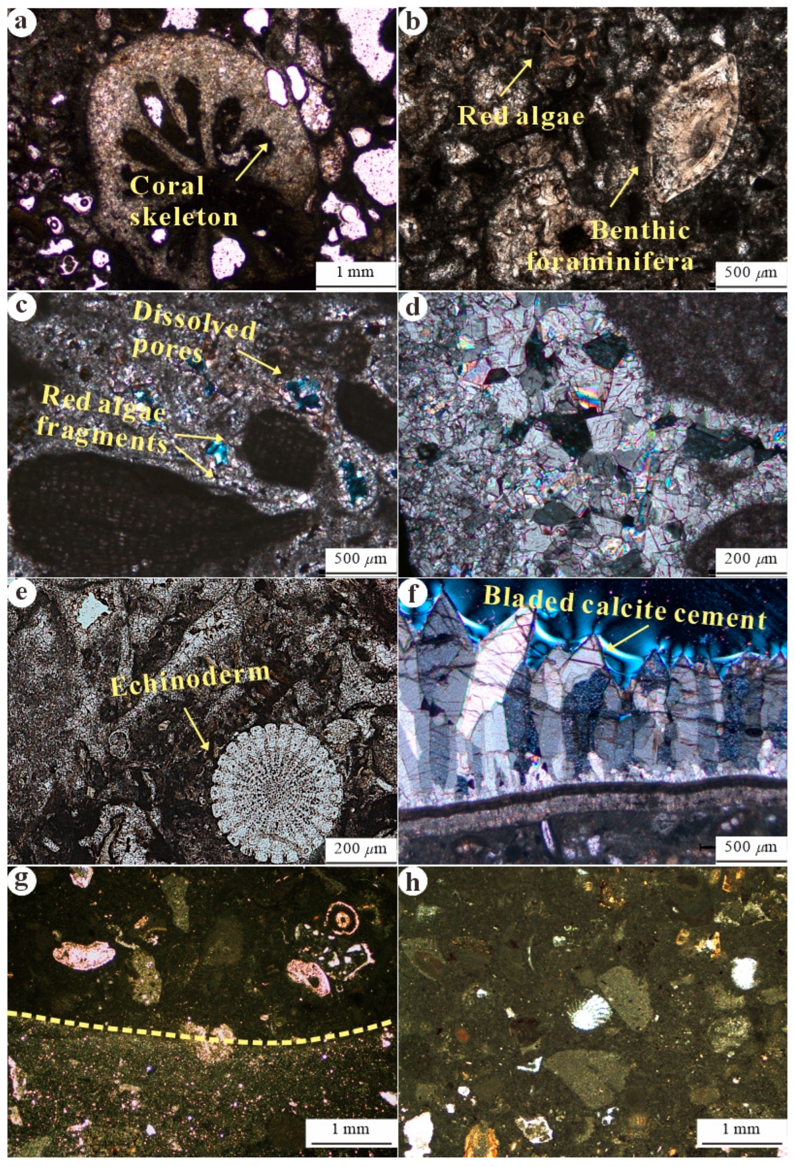 Minerals 16 00205 g003